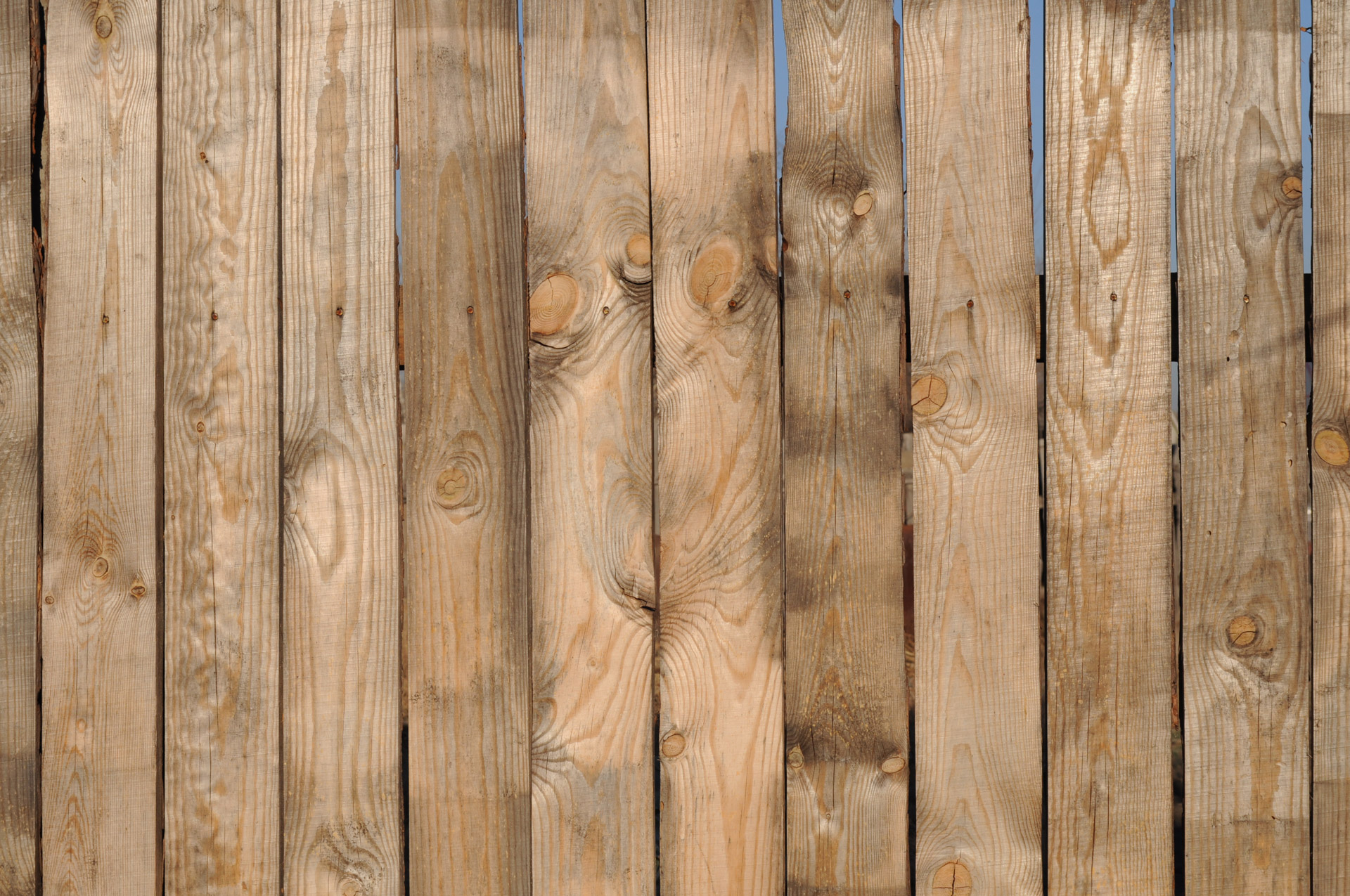 wooden fence boards free photo