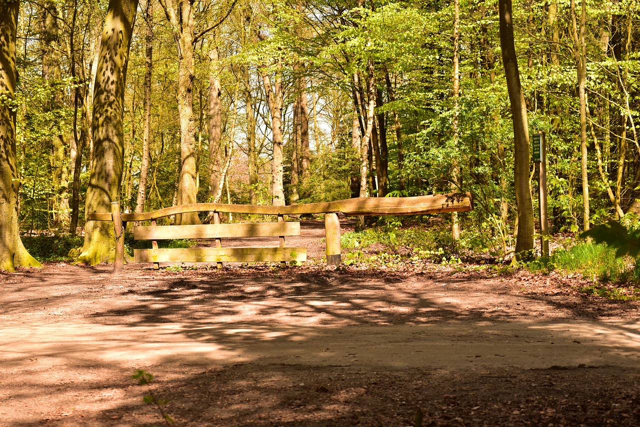 wooden gate goal forest free photo