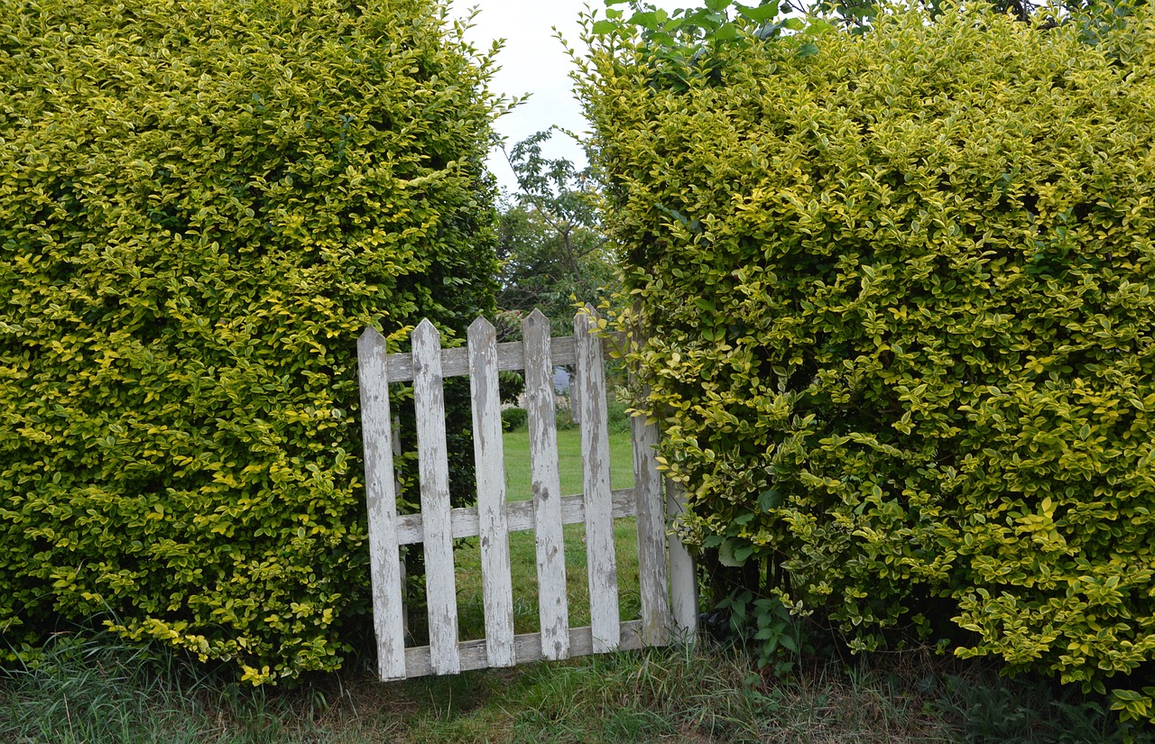 wooden gate field nature free photo