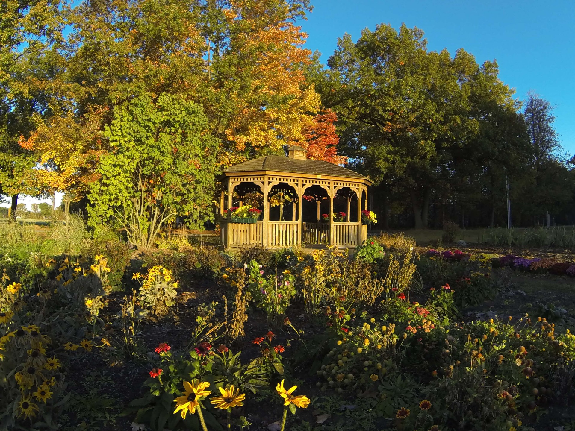 gazebo autumn foliage free photo