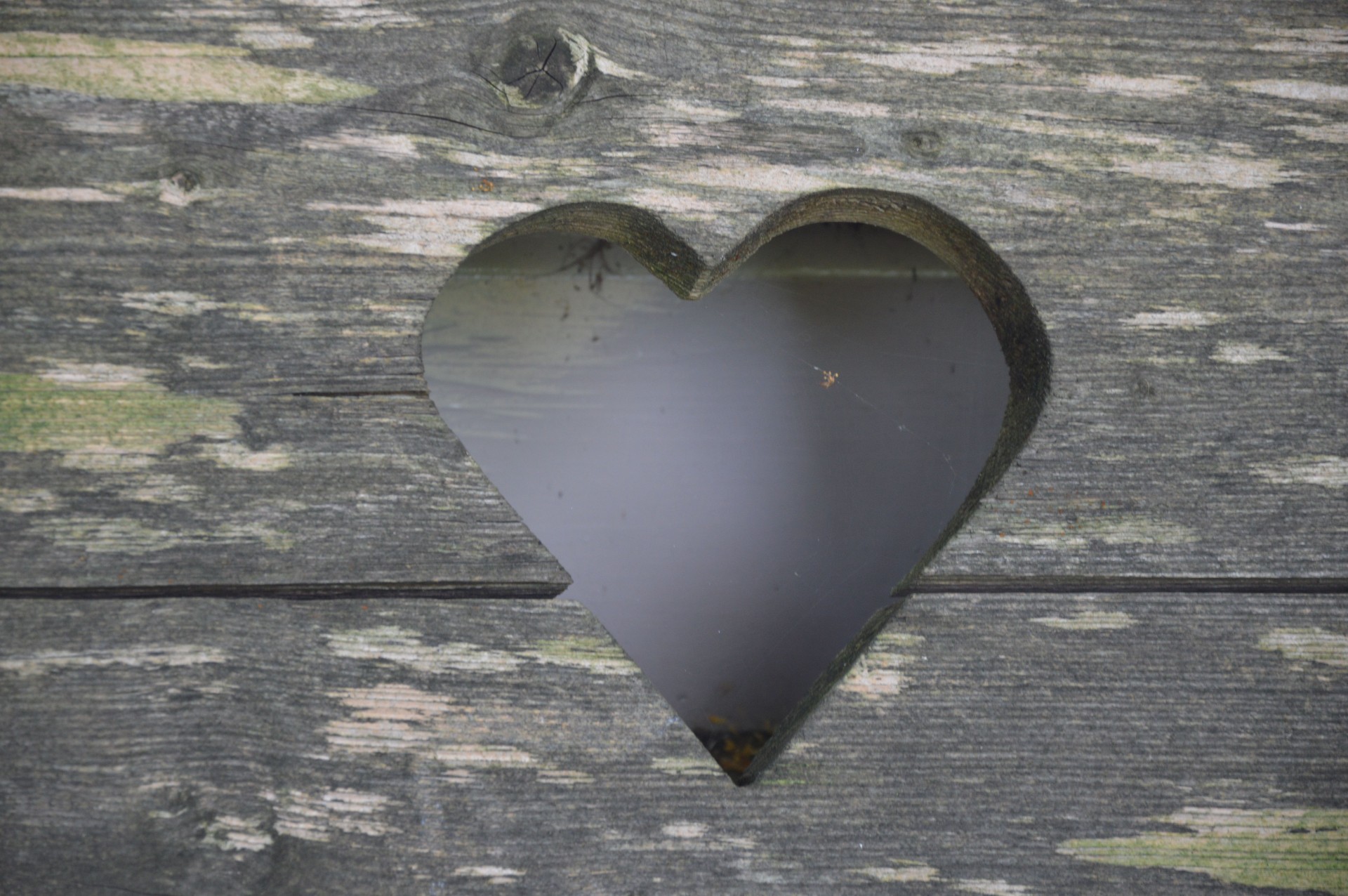 heart wood woodwork free photo