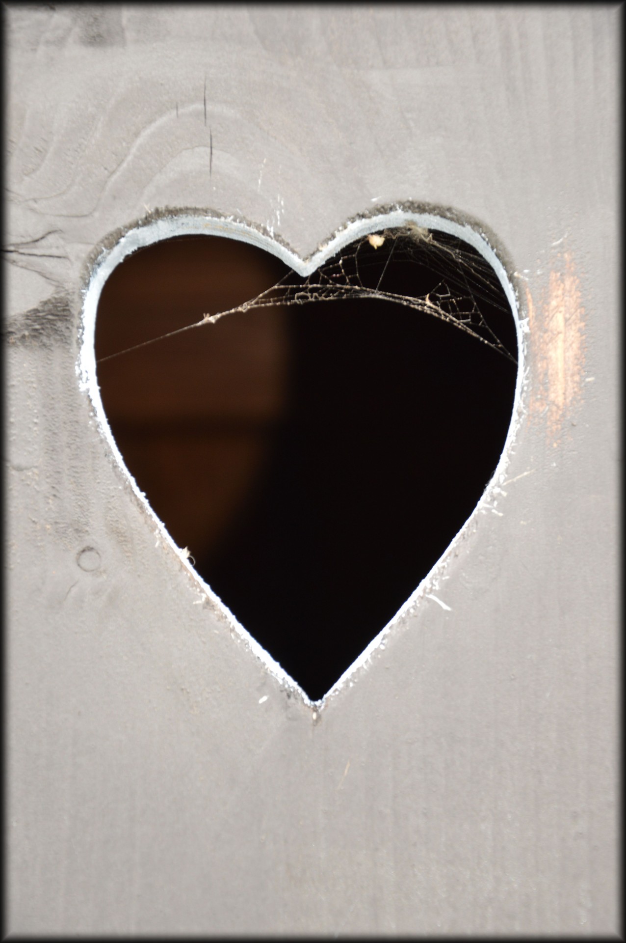 heart spider web love free photo