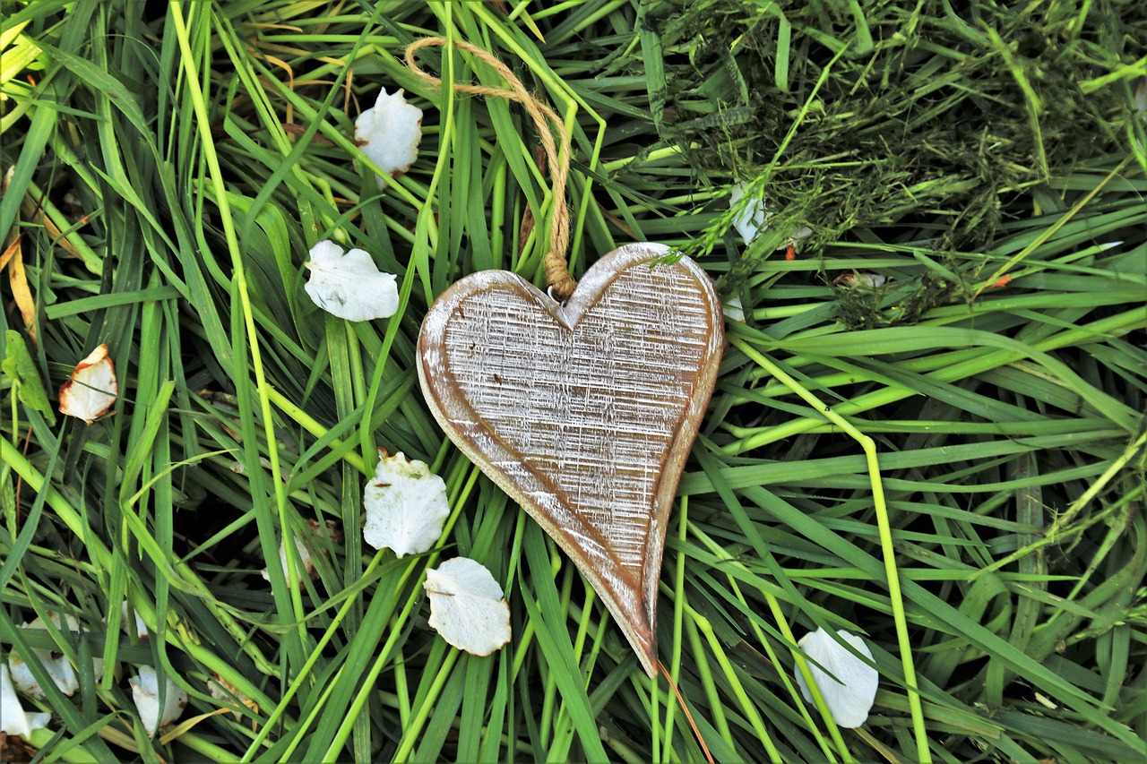 wooden heart  feeling  spring free photo