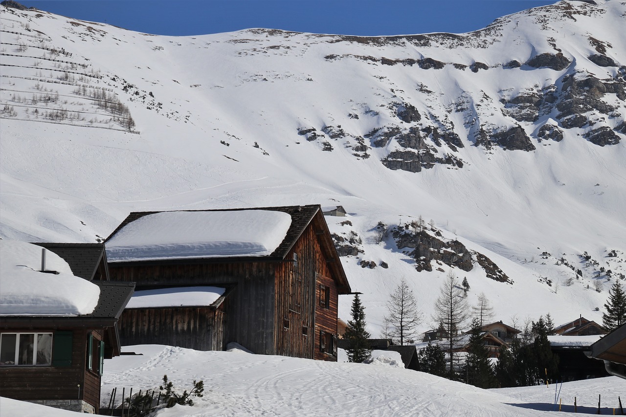 wooden house  tops  snow free photo