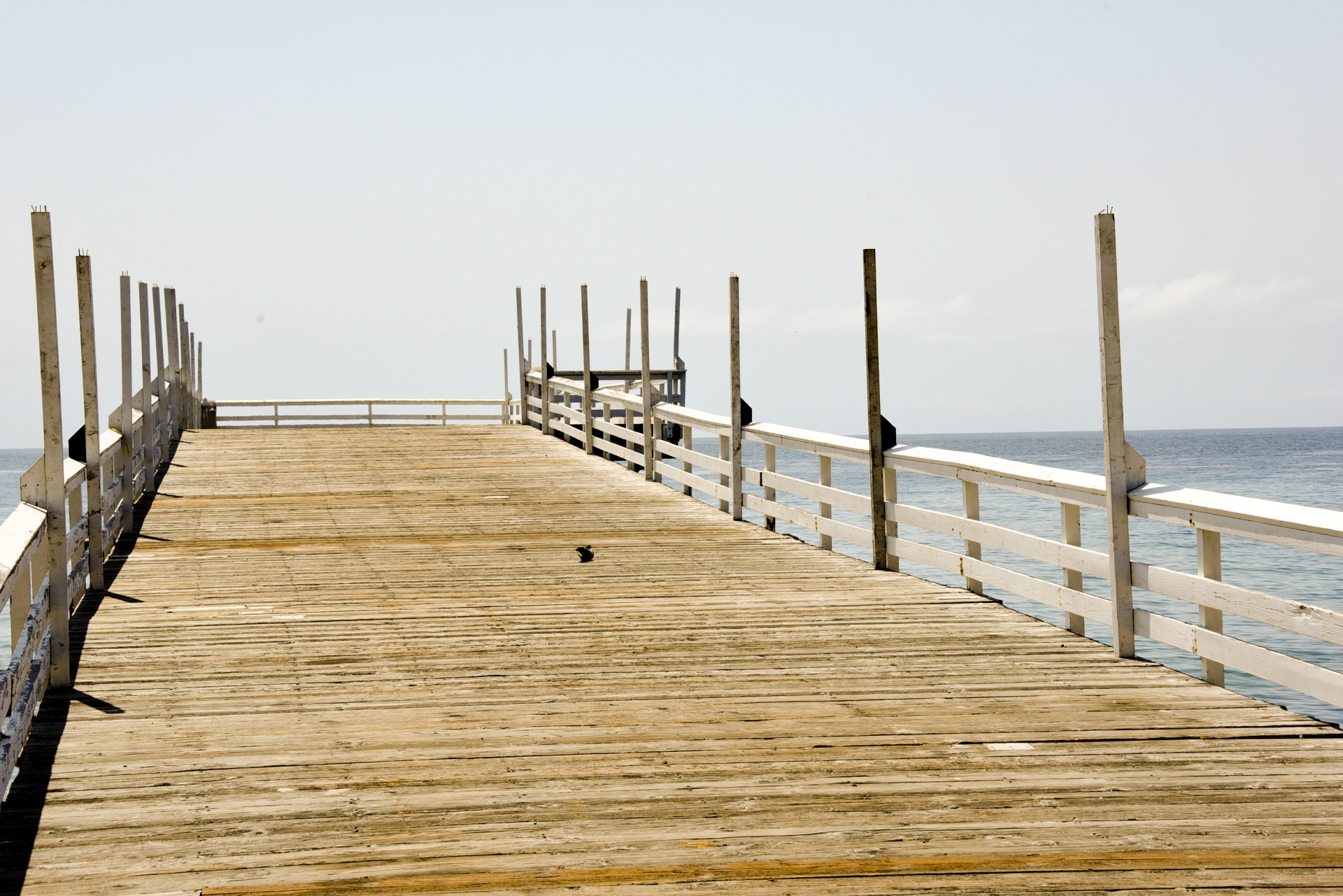 pier california malibu free photo