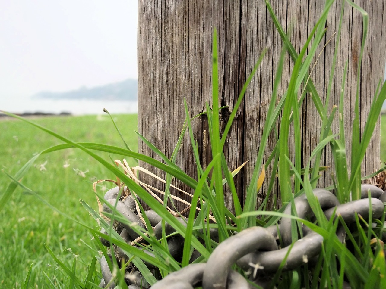 wooden pole chain grass free photo