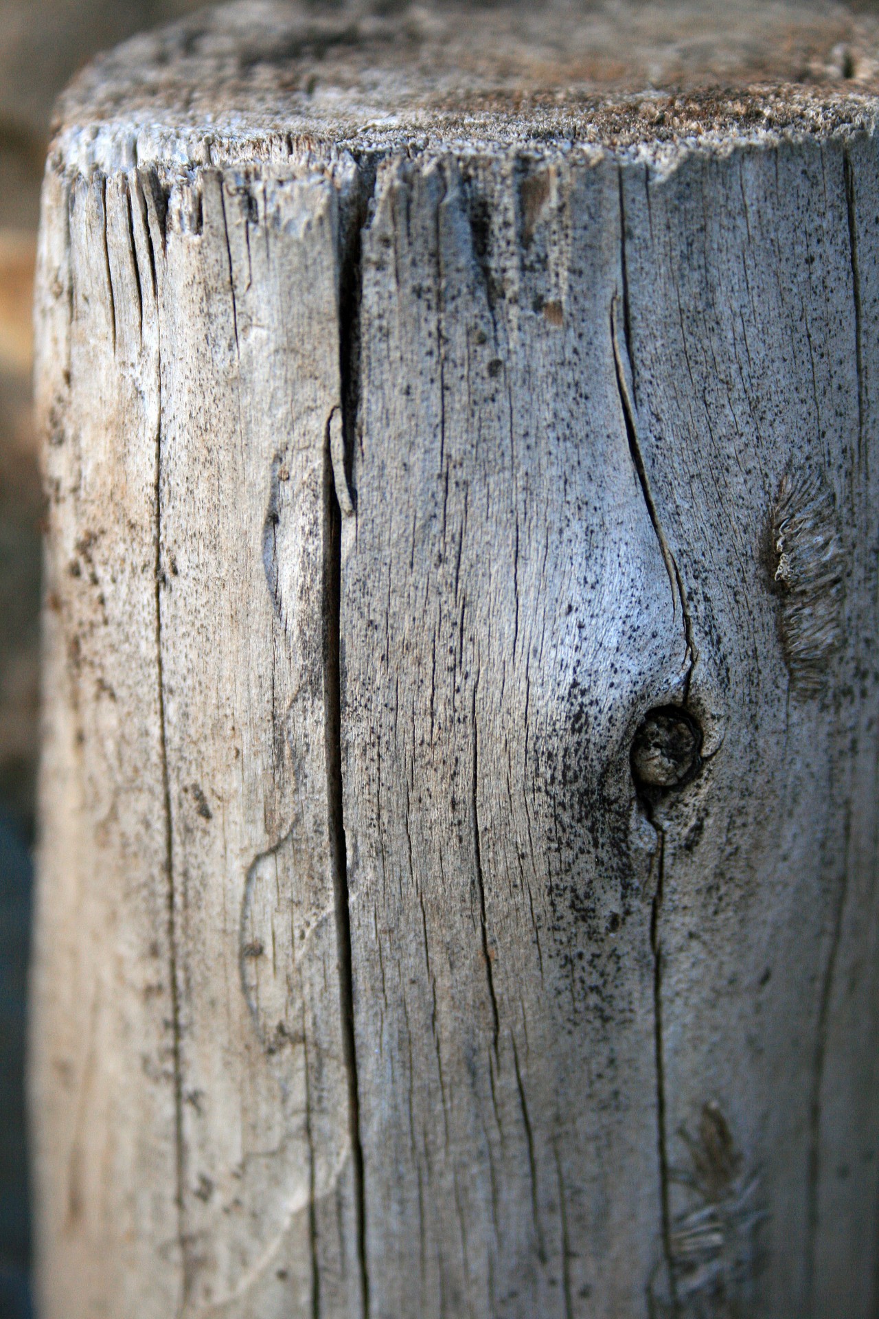 wood post pole free photo