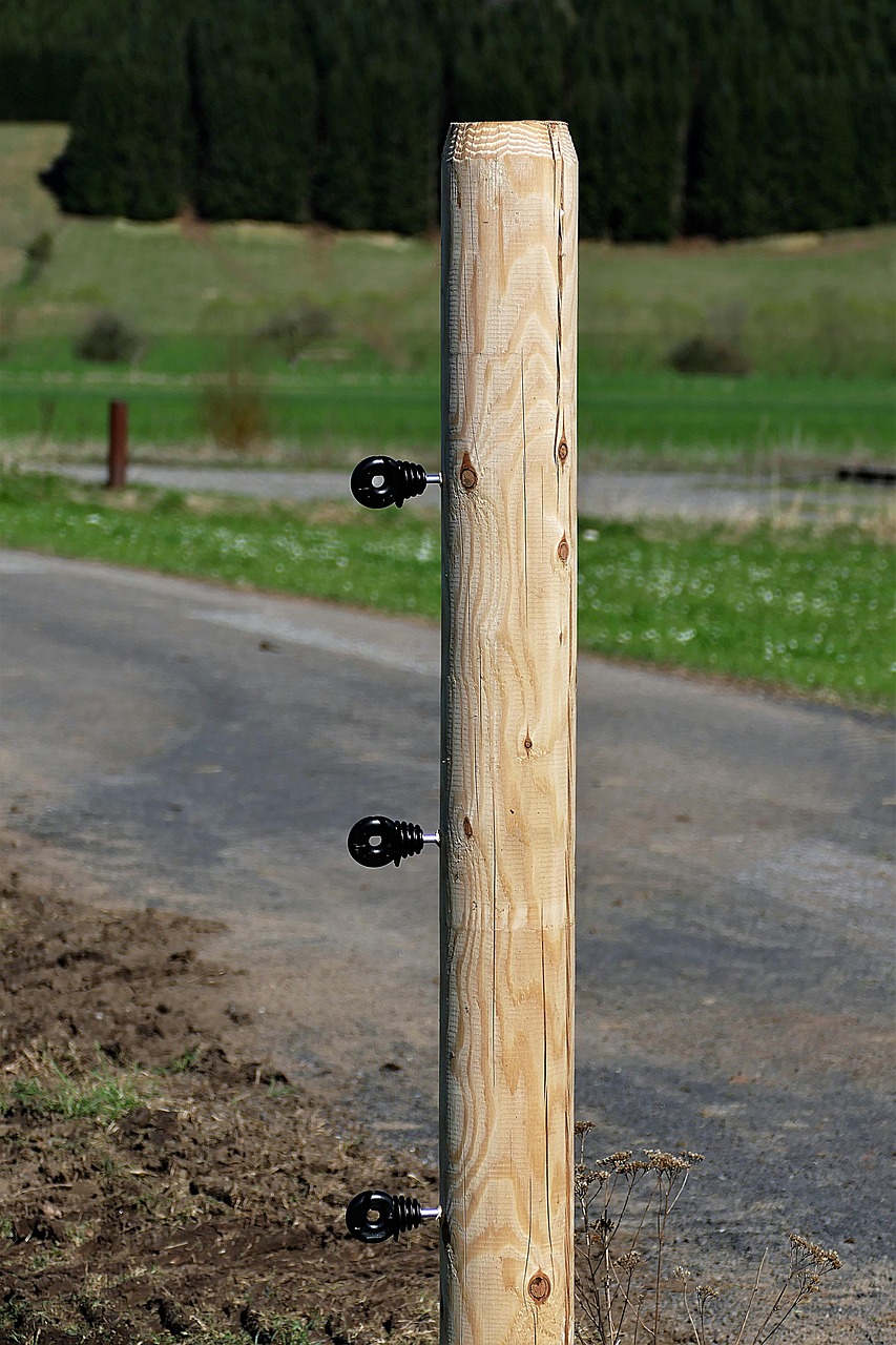 wooden posts  fence  insulators free photo