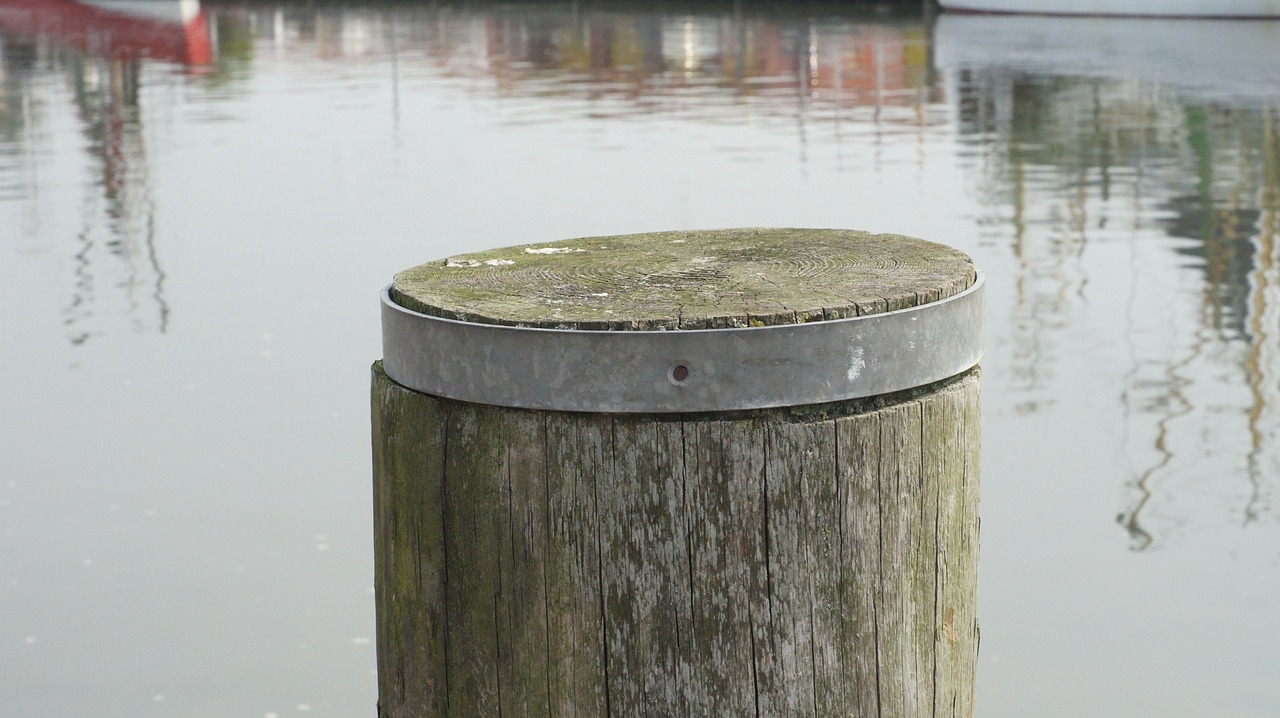 wooden posts bollard water free photo