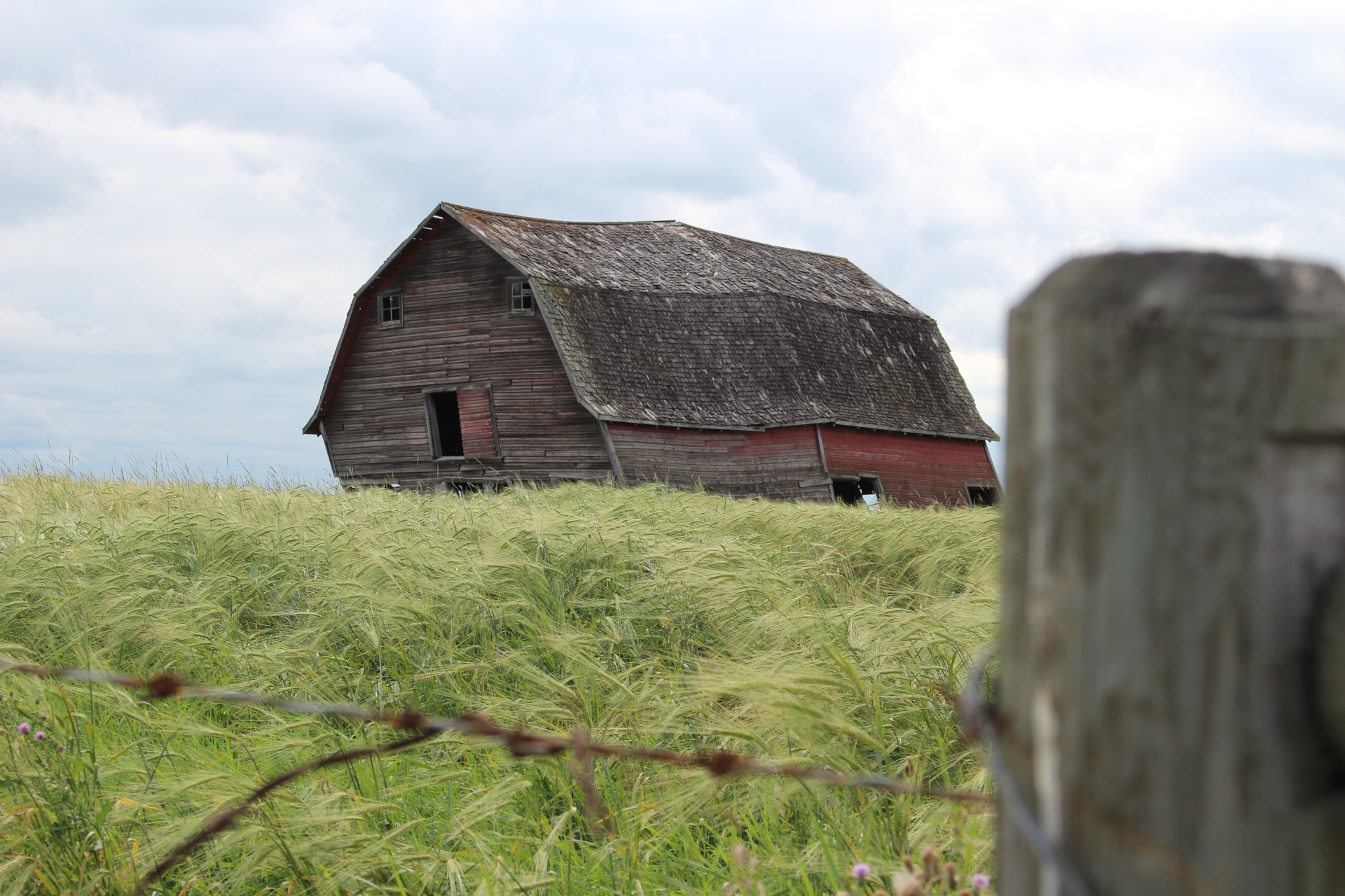 wooden red barn free photo