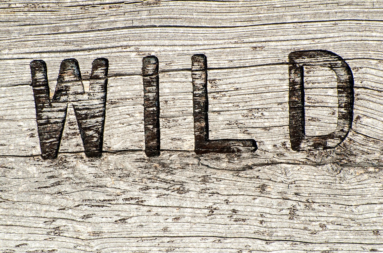 wooden sign wild rustic free photo