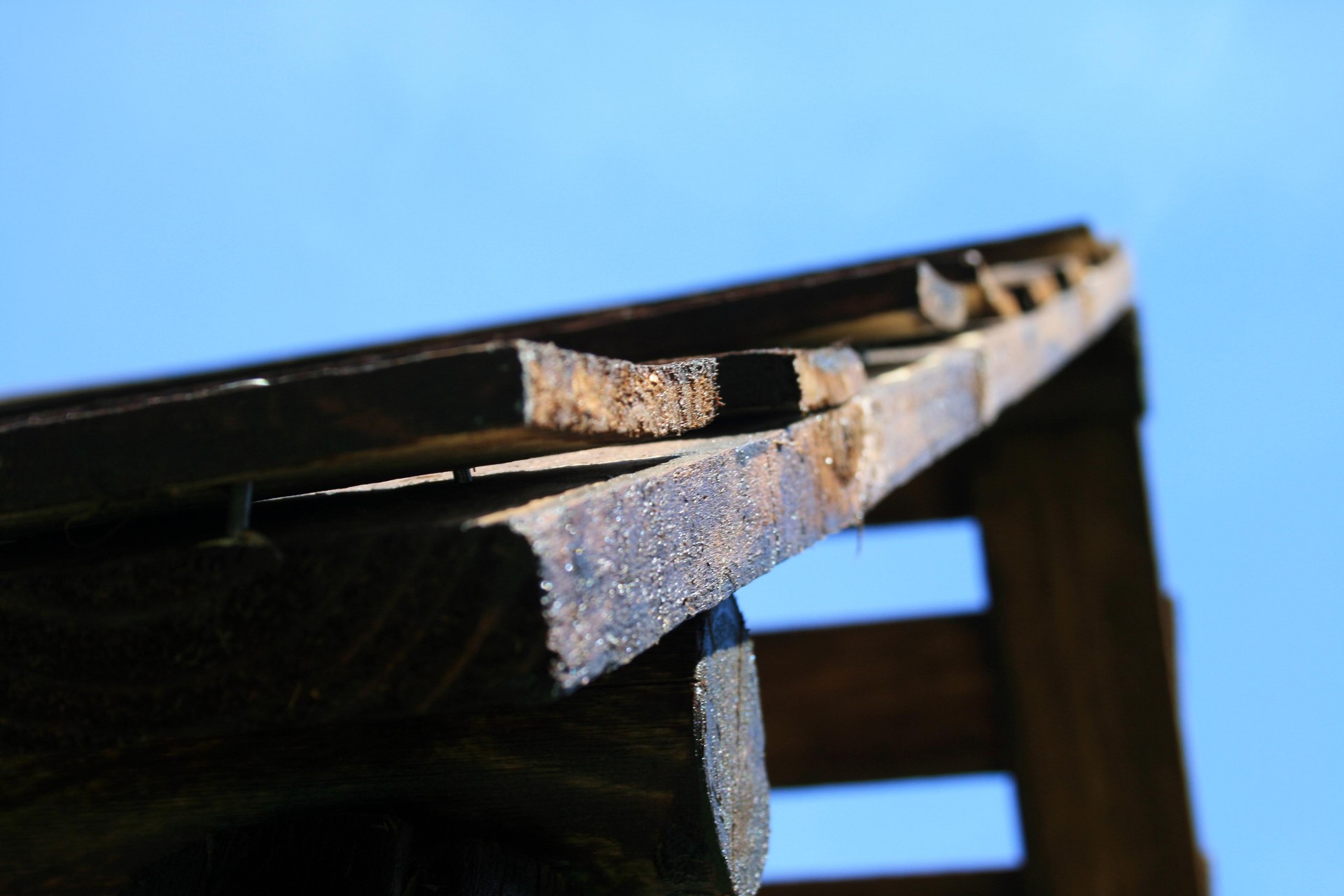 roof wood slats free photo