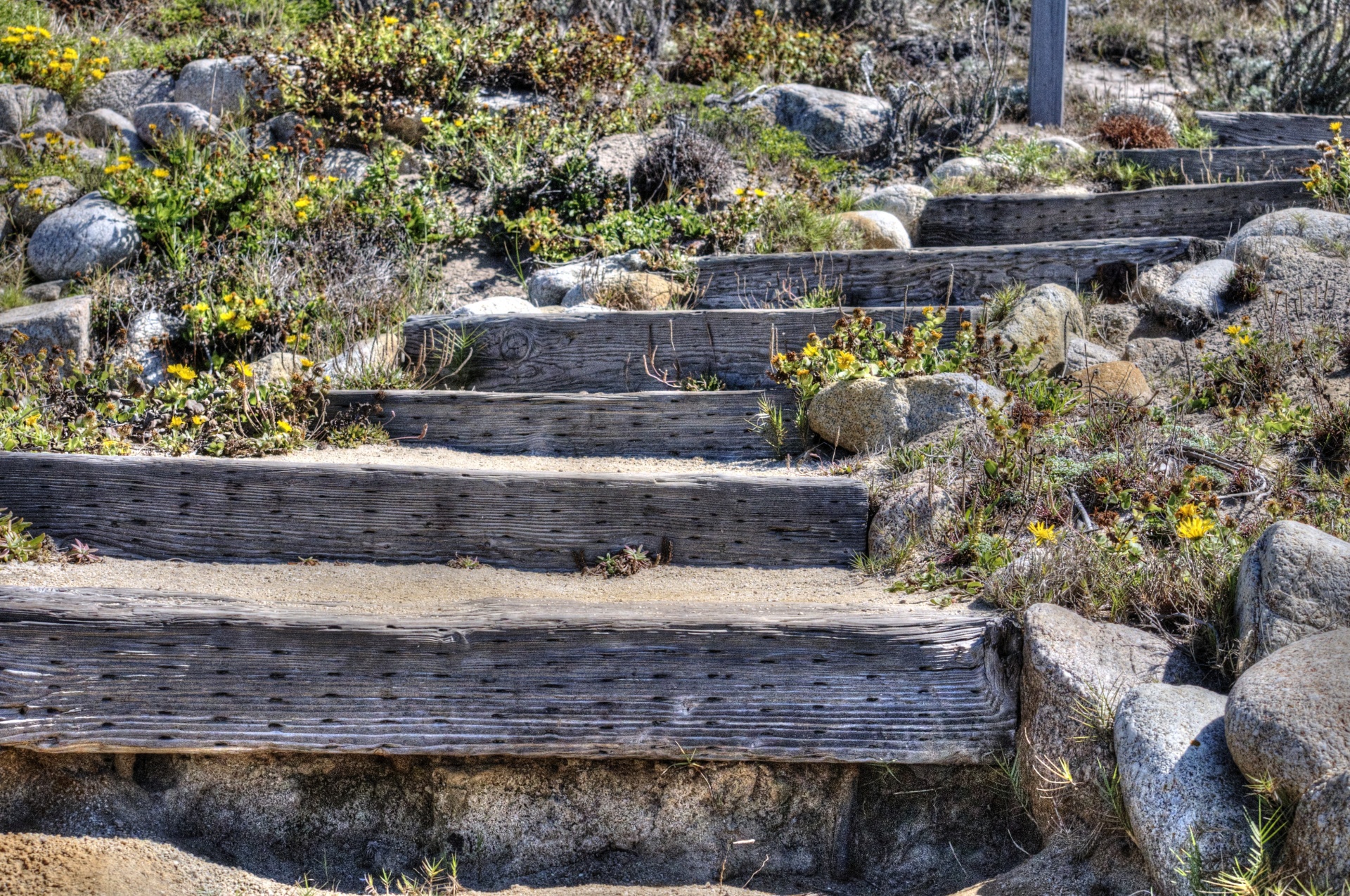 stairs steps wooden free photo