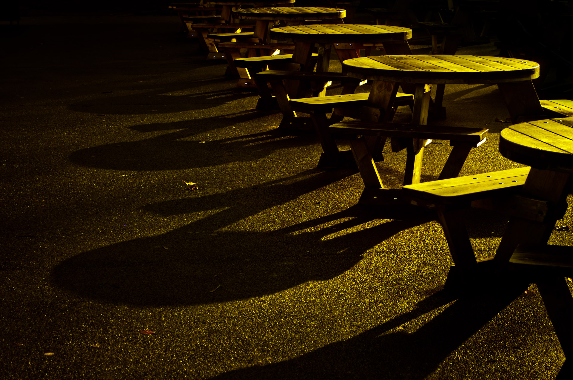 wooden tables benches free photo