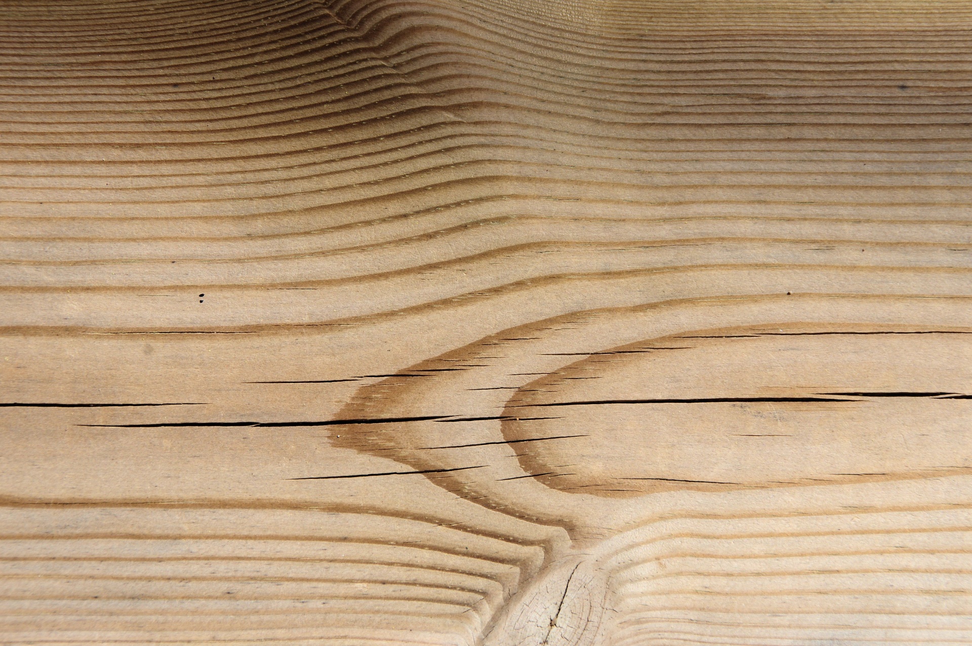 wood texture plank free photo