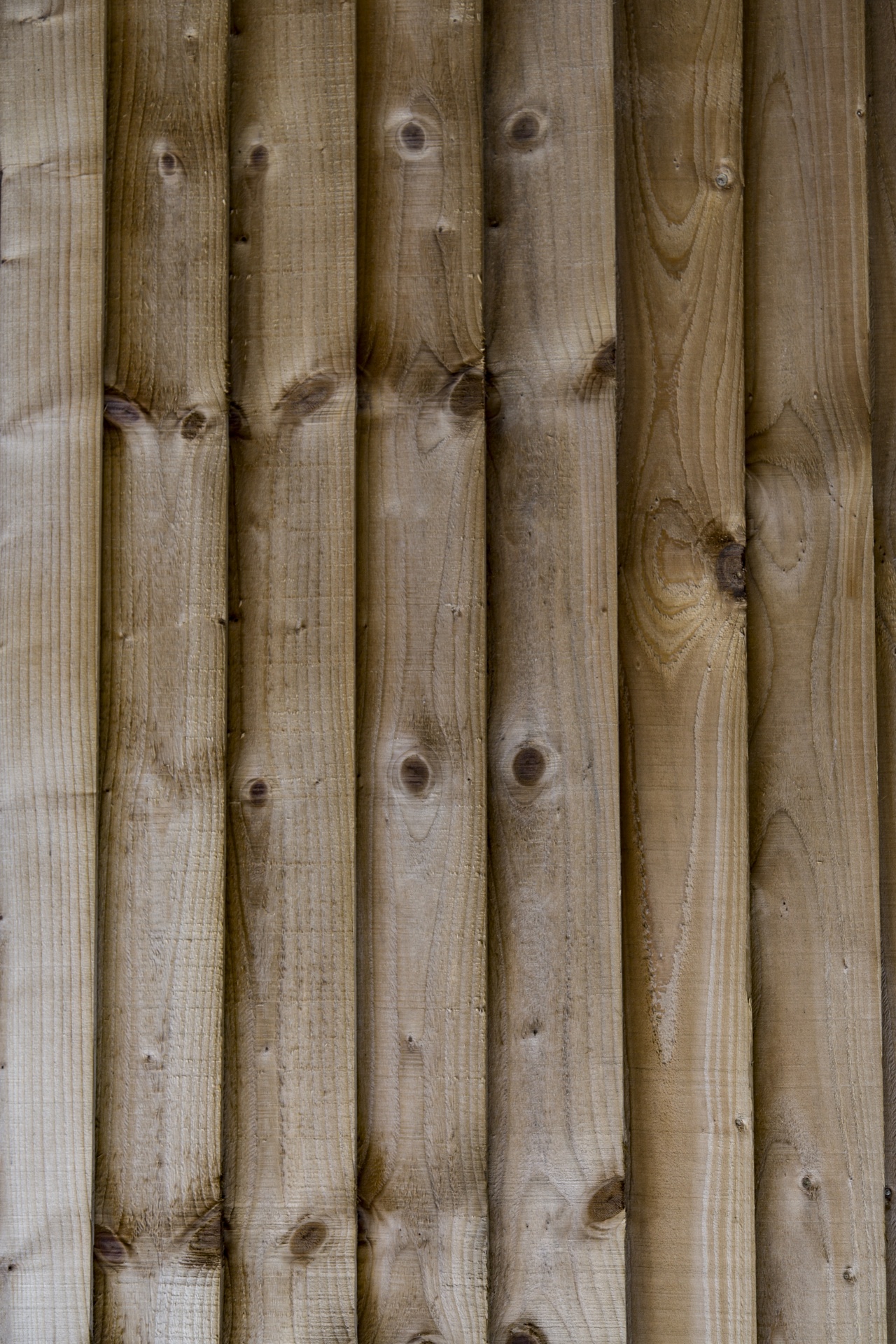 wooden wood background free photo