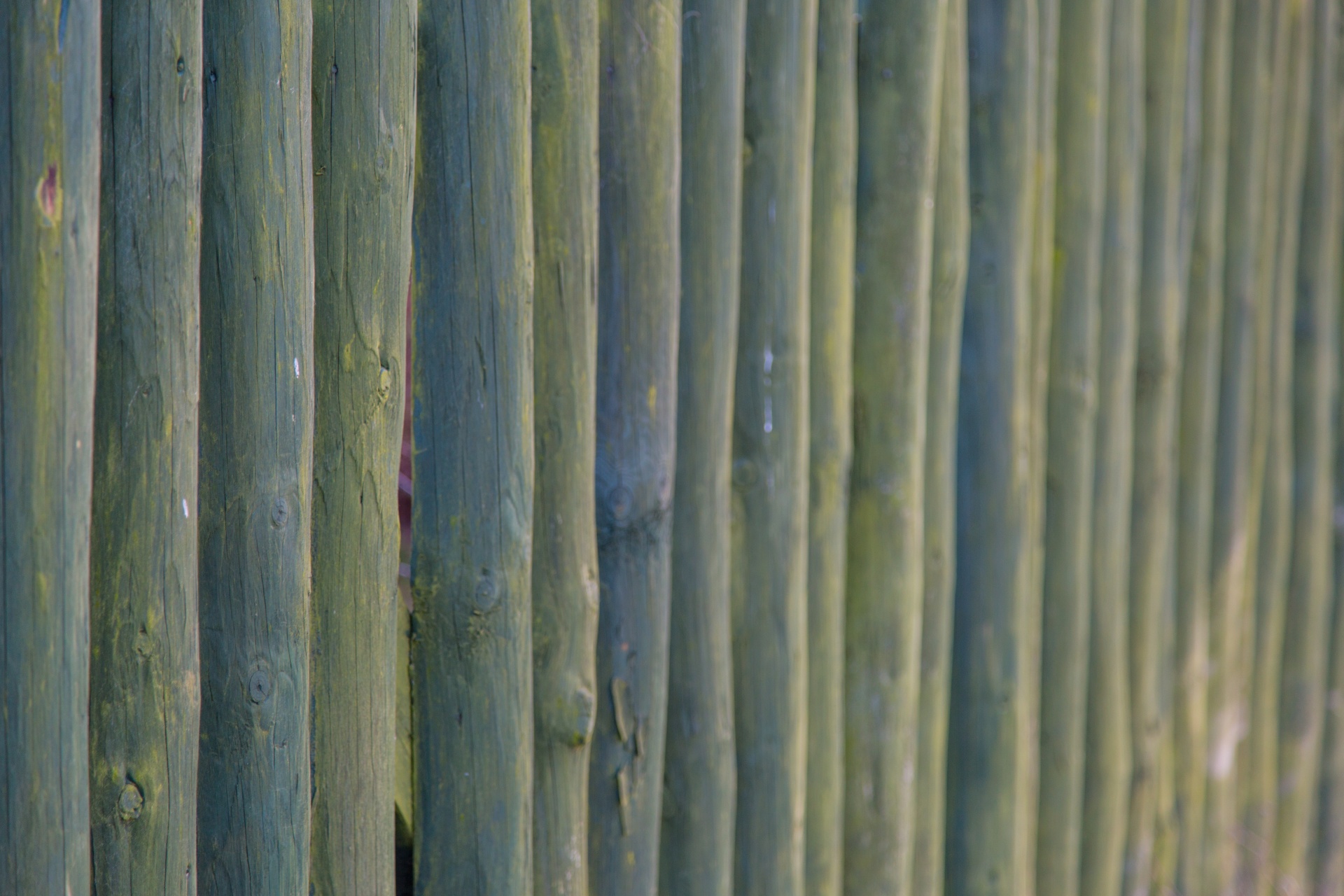 wooden wood background free photo