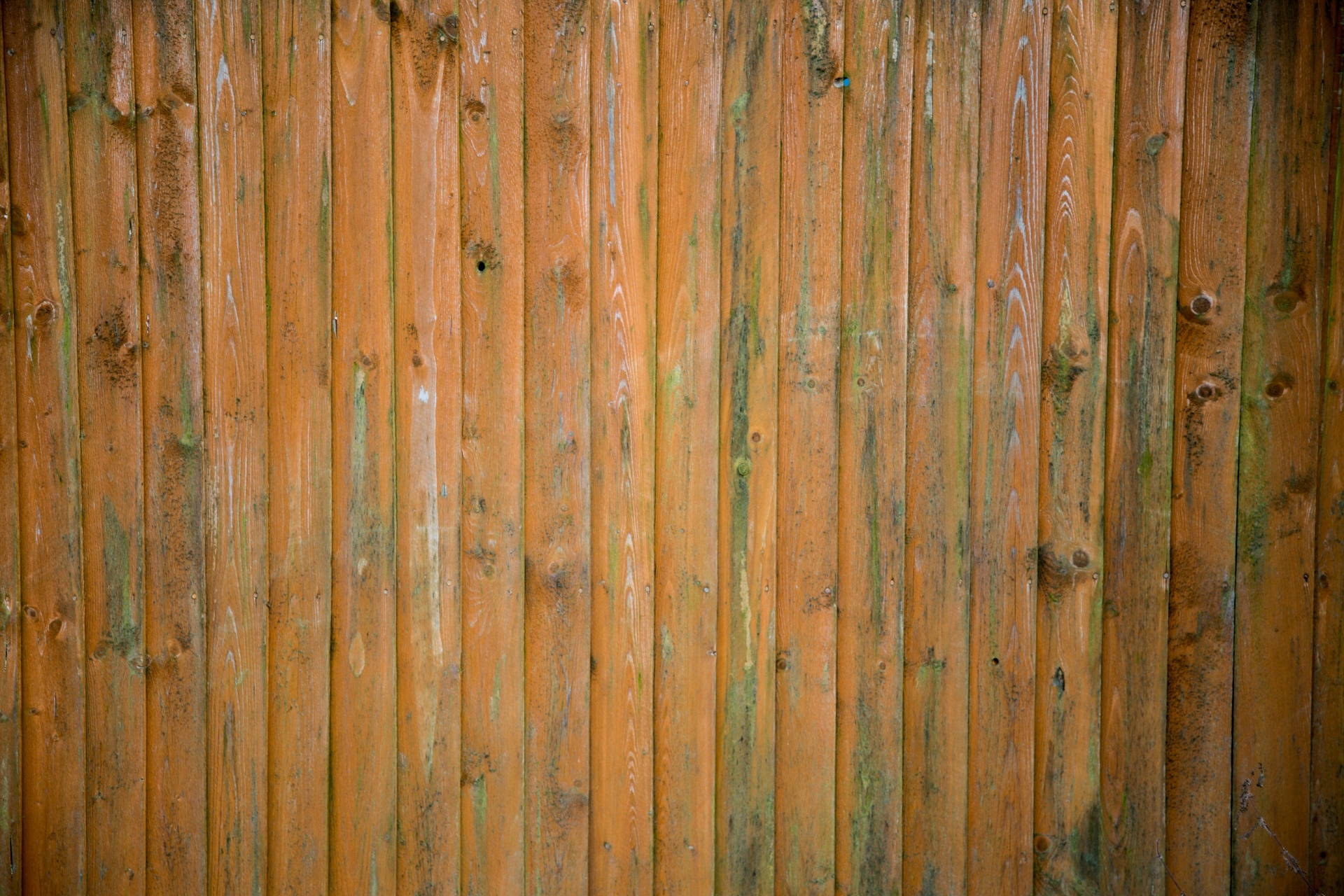 wooden wood background free photo