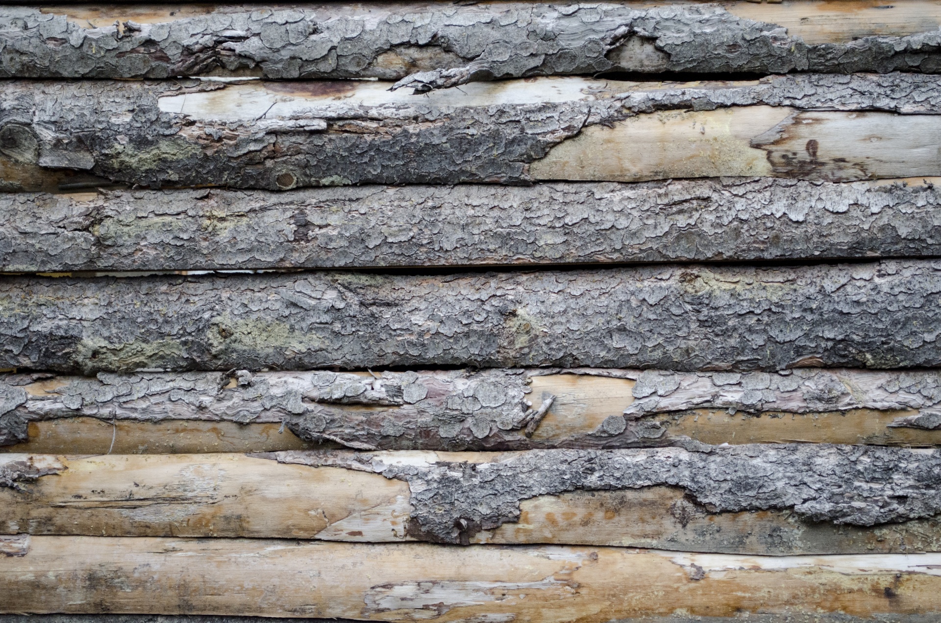 wooden wall background free photo