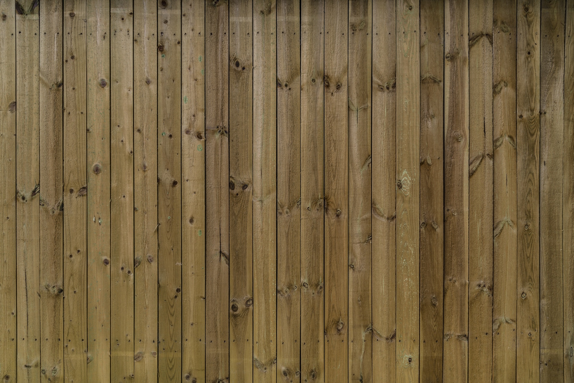 wooden wood background free photo