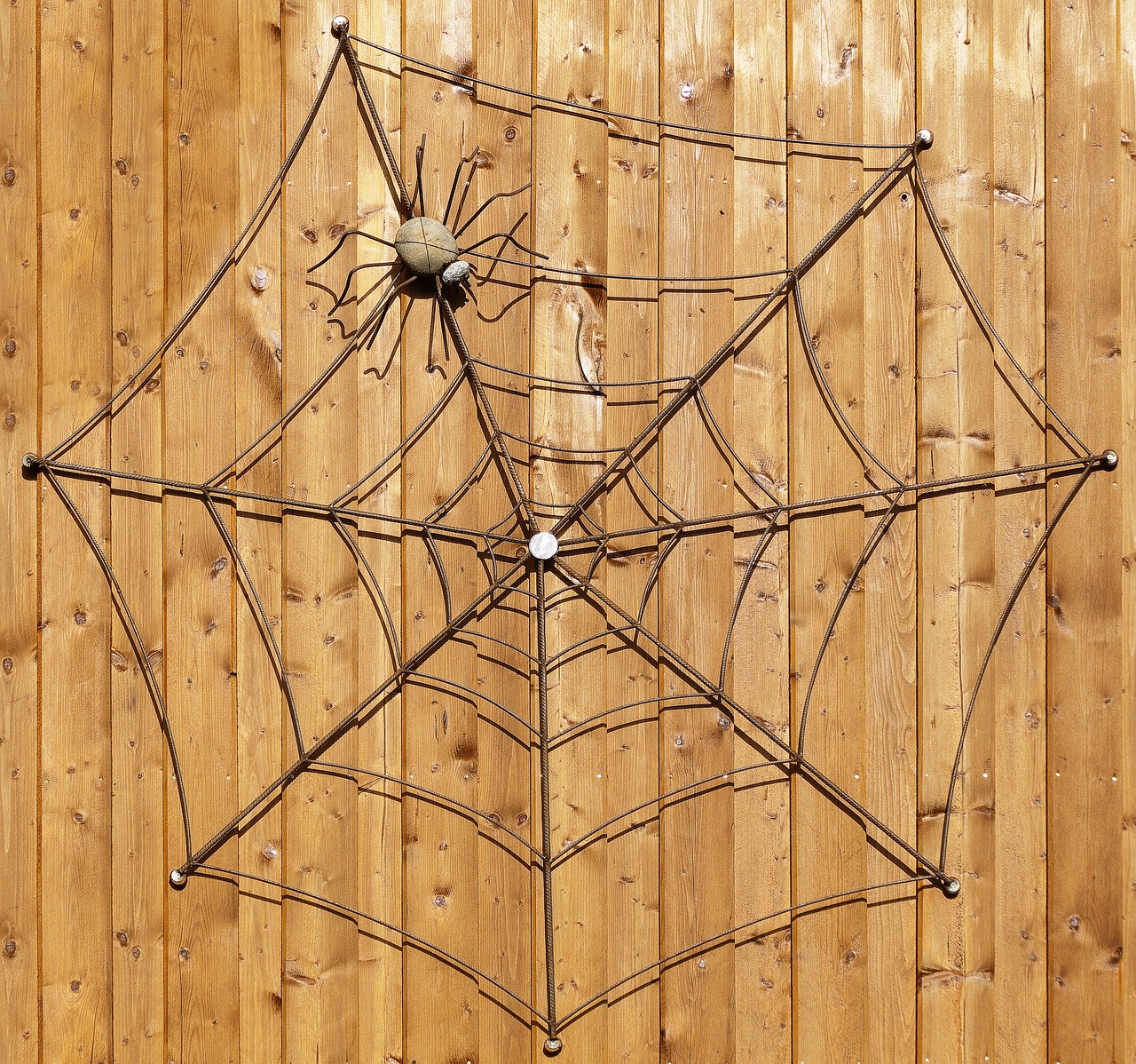 wooden wall spider cobweb free photo
