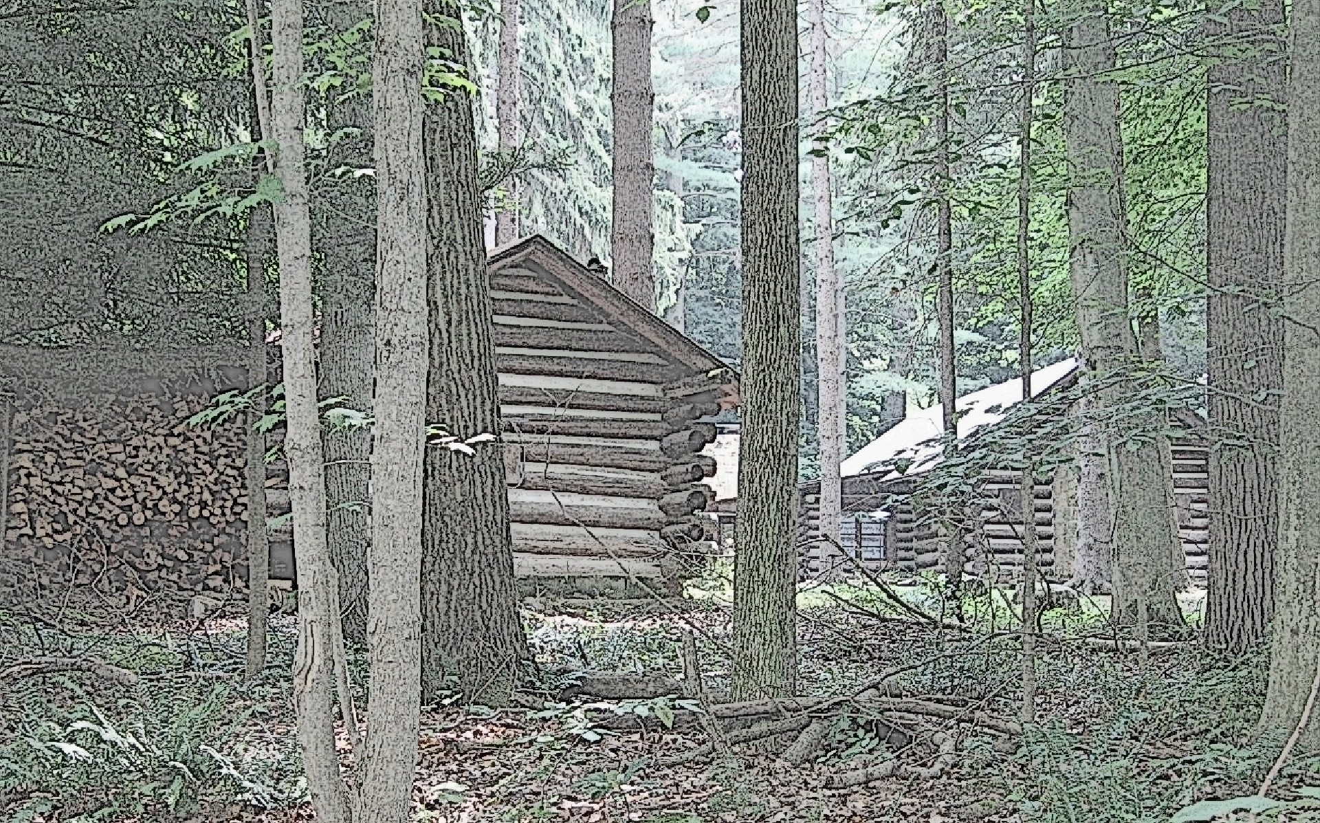 cabins woods rustic free photo