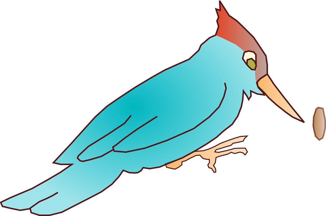 woodpecker blue bird free photo