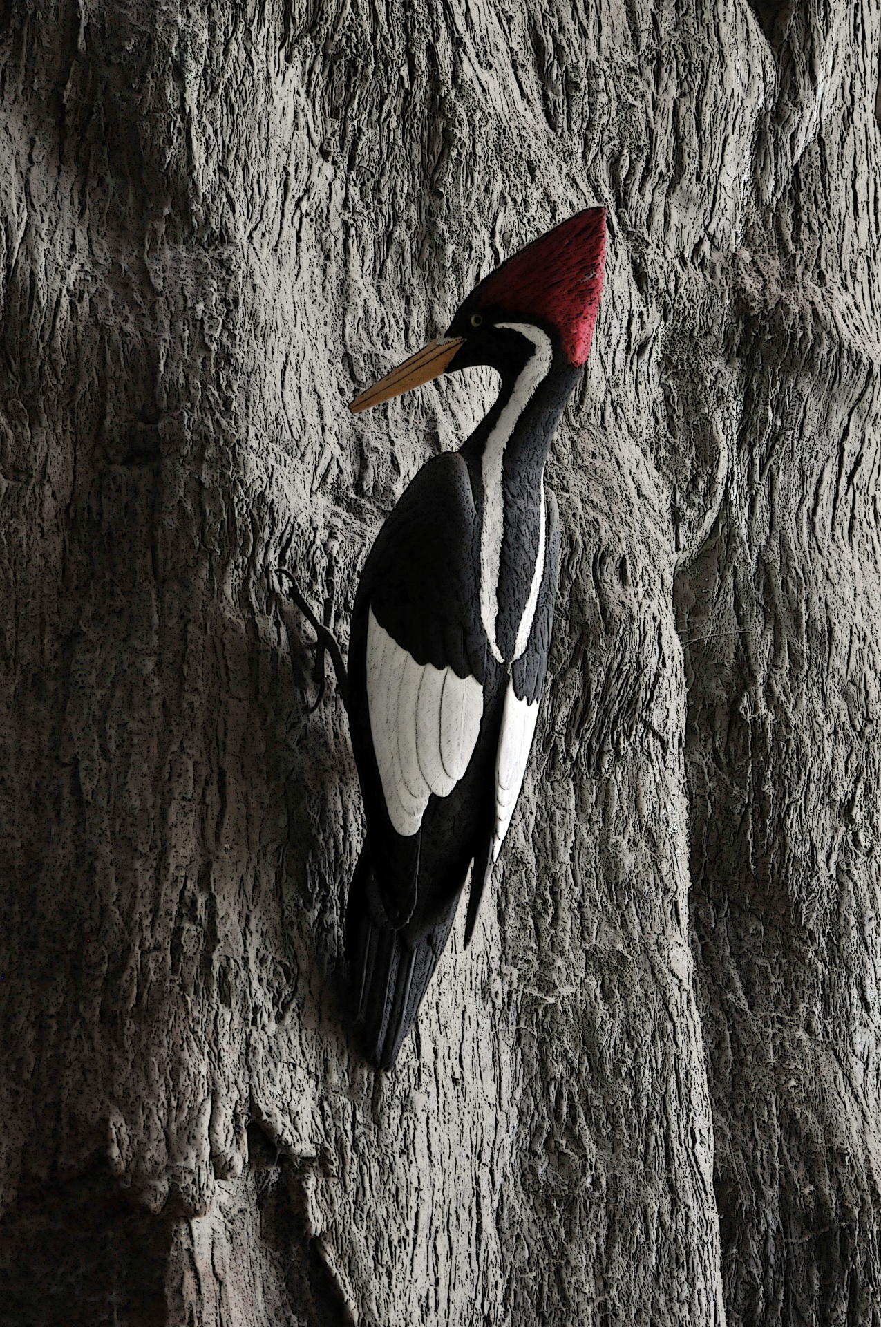 woodpecker bird birds free photo