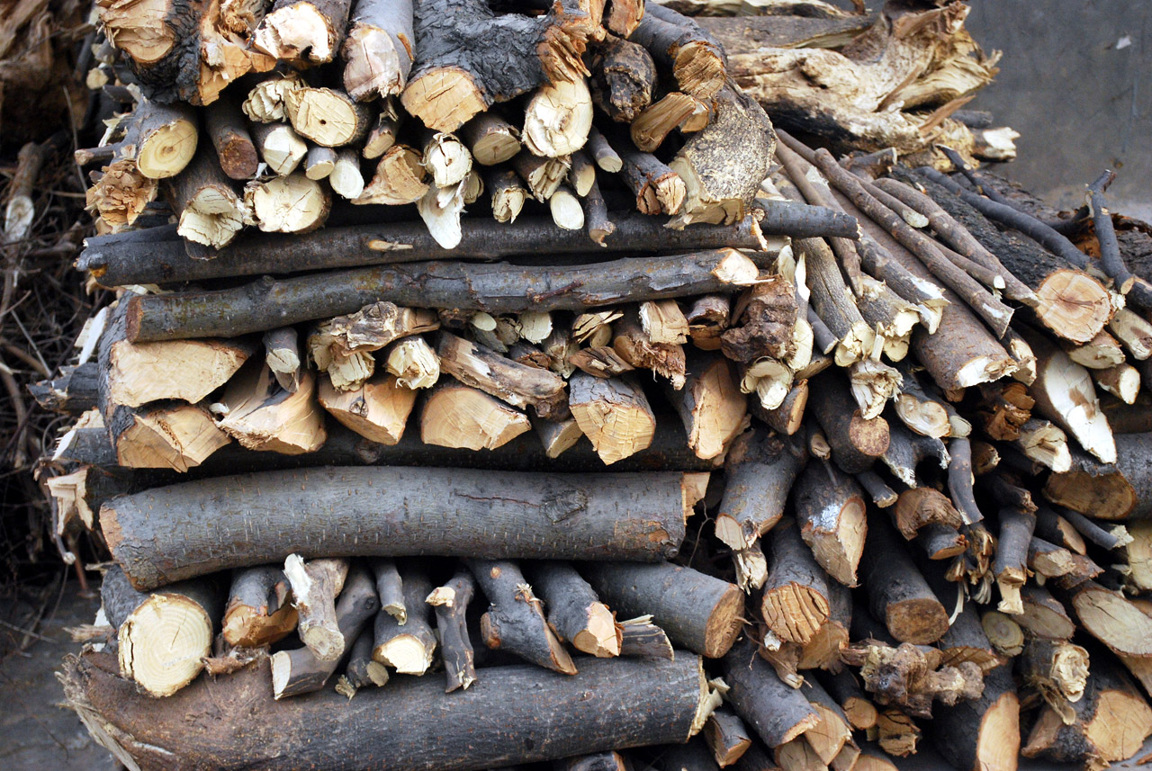 woodpile firewood stacked free photo