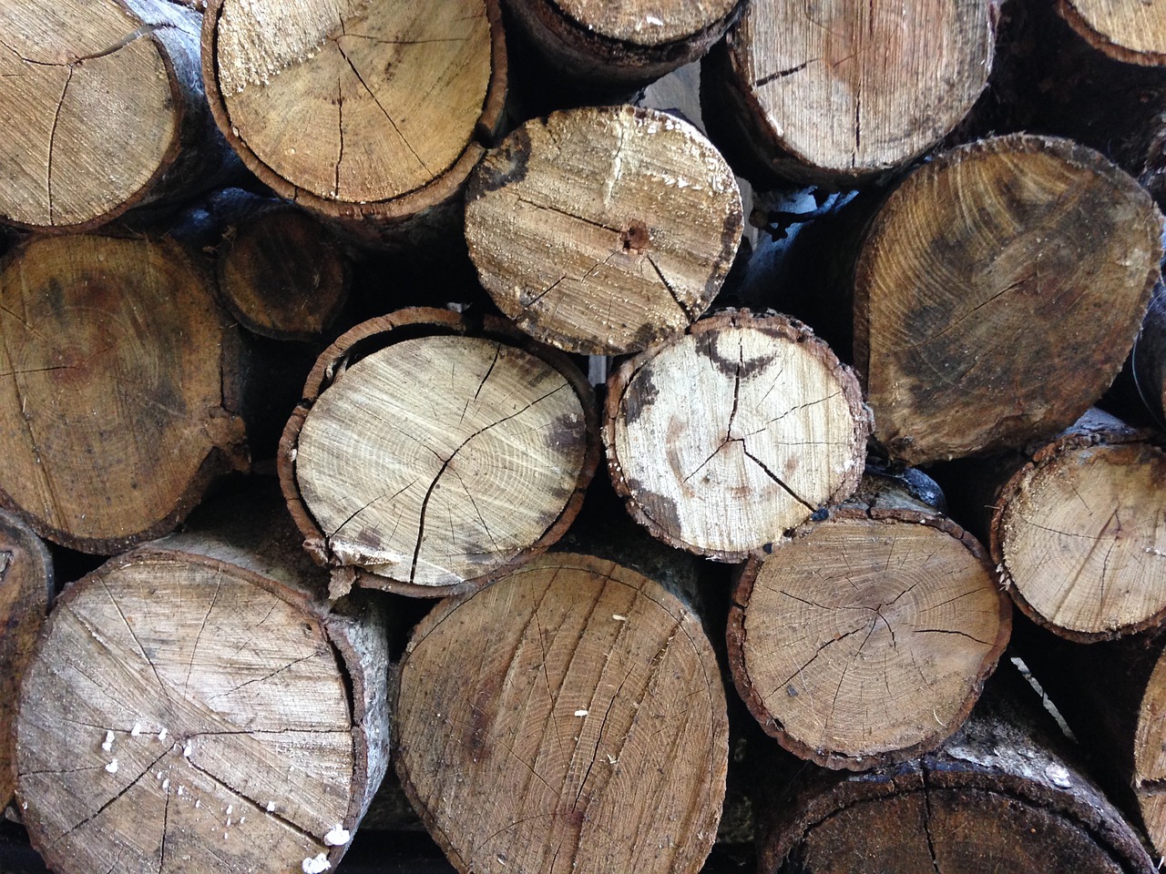 woodpile lumber timber free photo
