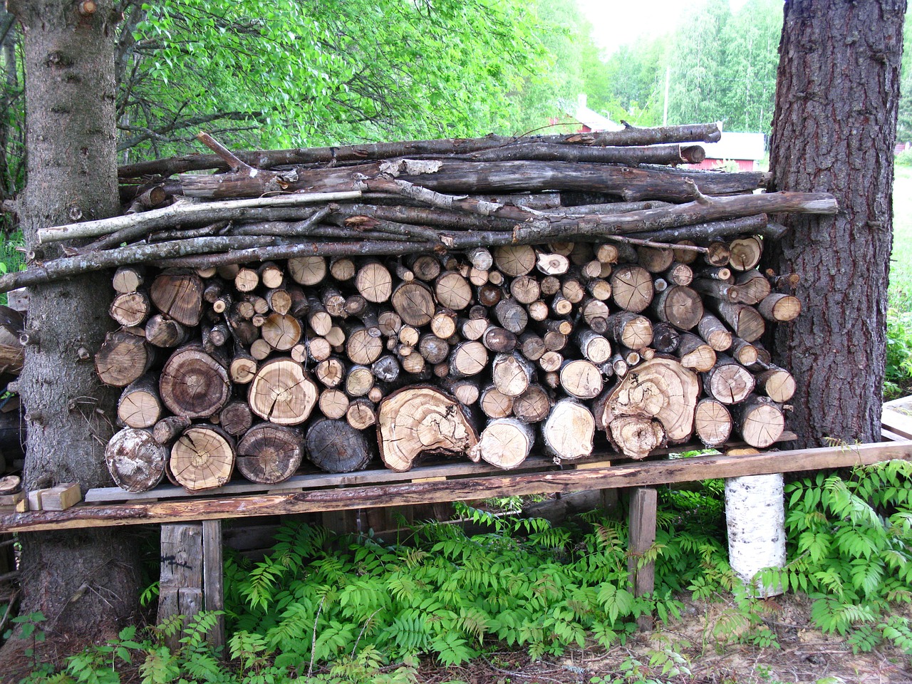 woodpile chopped logs free photo