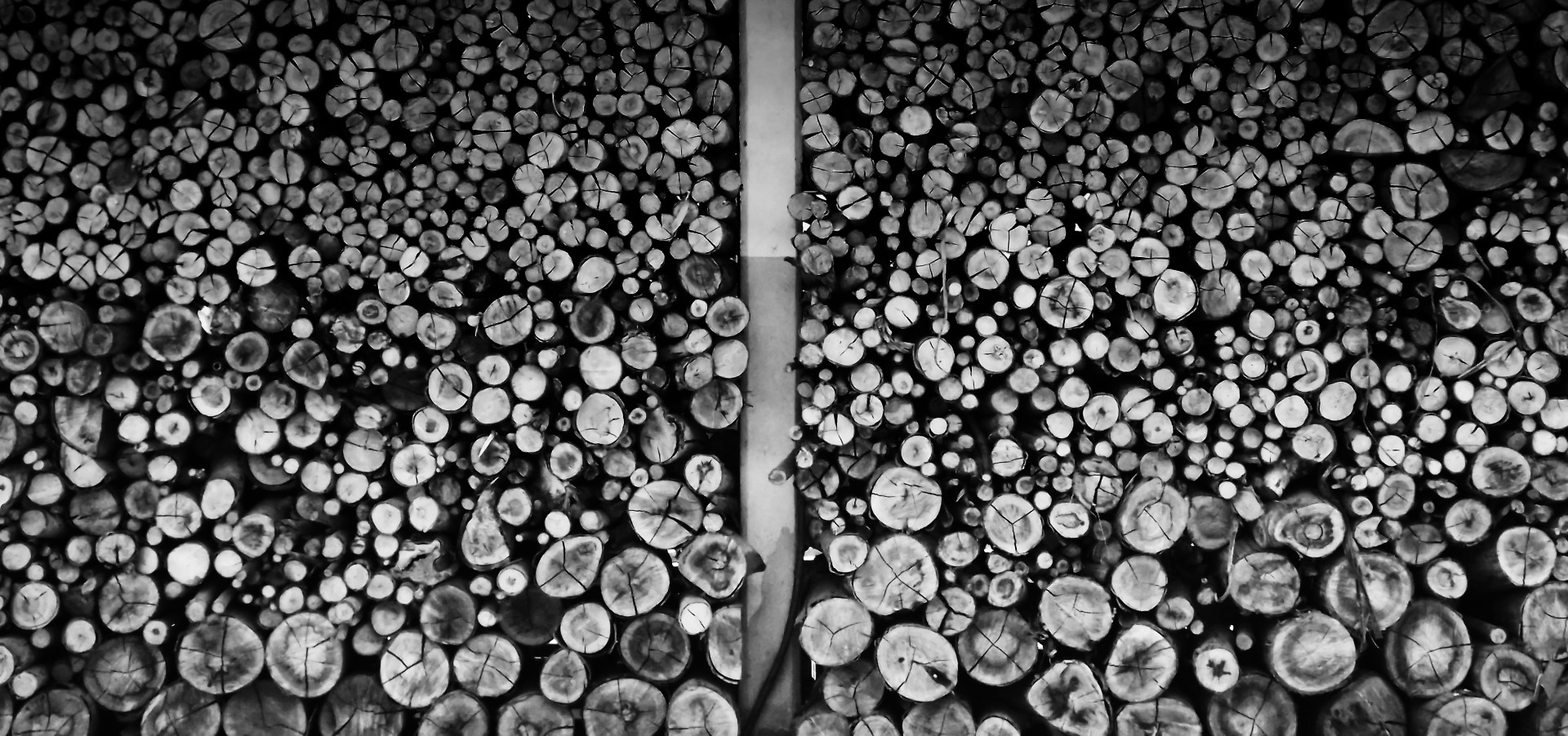 wood brazil minas gerais free photo