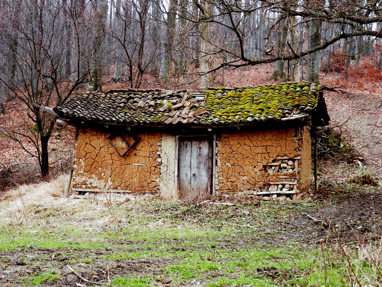 woods cabin abandoned free photo