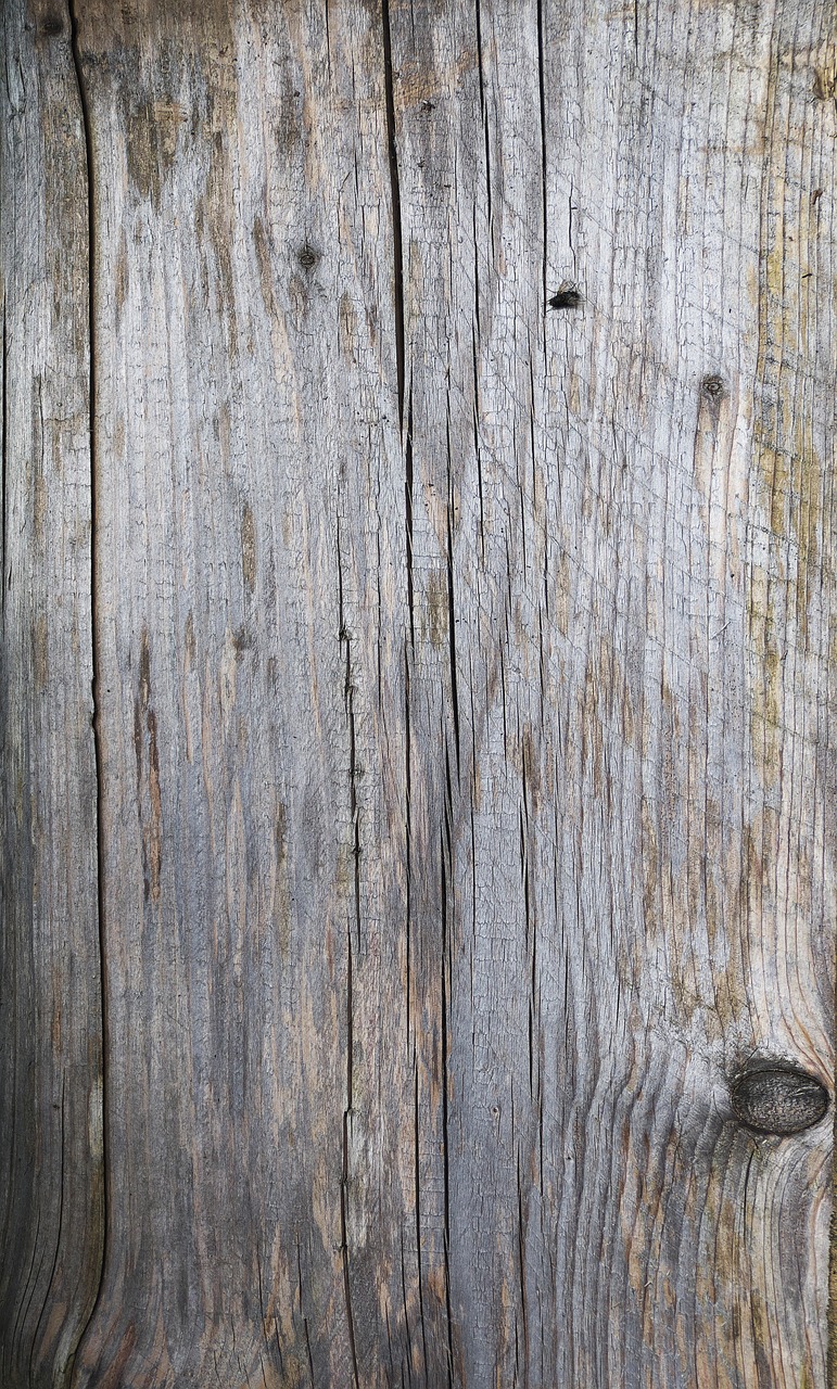 woods  board  wooden board free photo