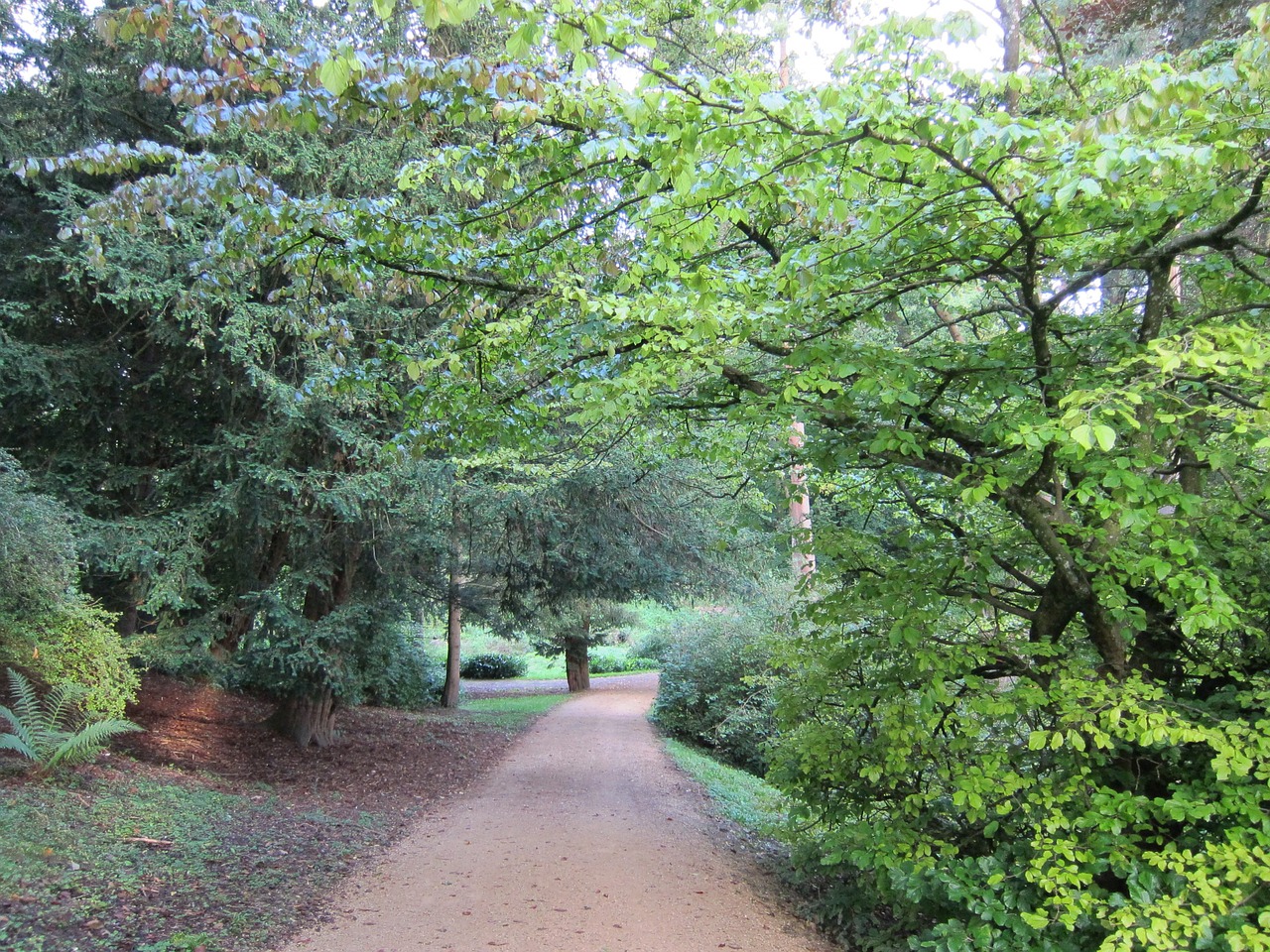 woods bath uk free photo