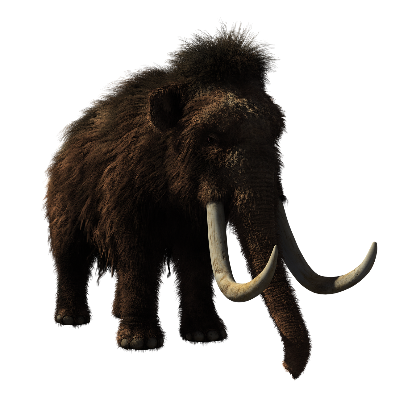 woolly mammoth animal prehistoric free photo