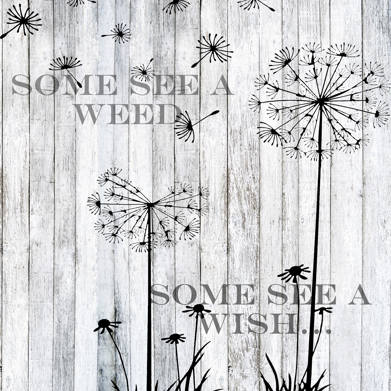 word art dandelion free photo