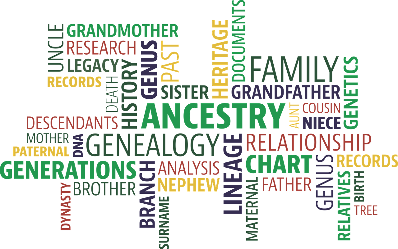 word cloud  search  ancestry free photo
