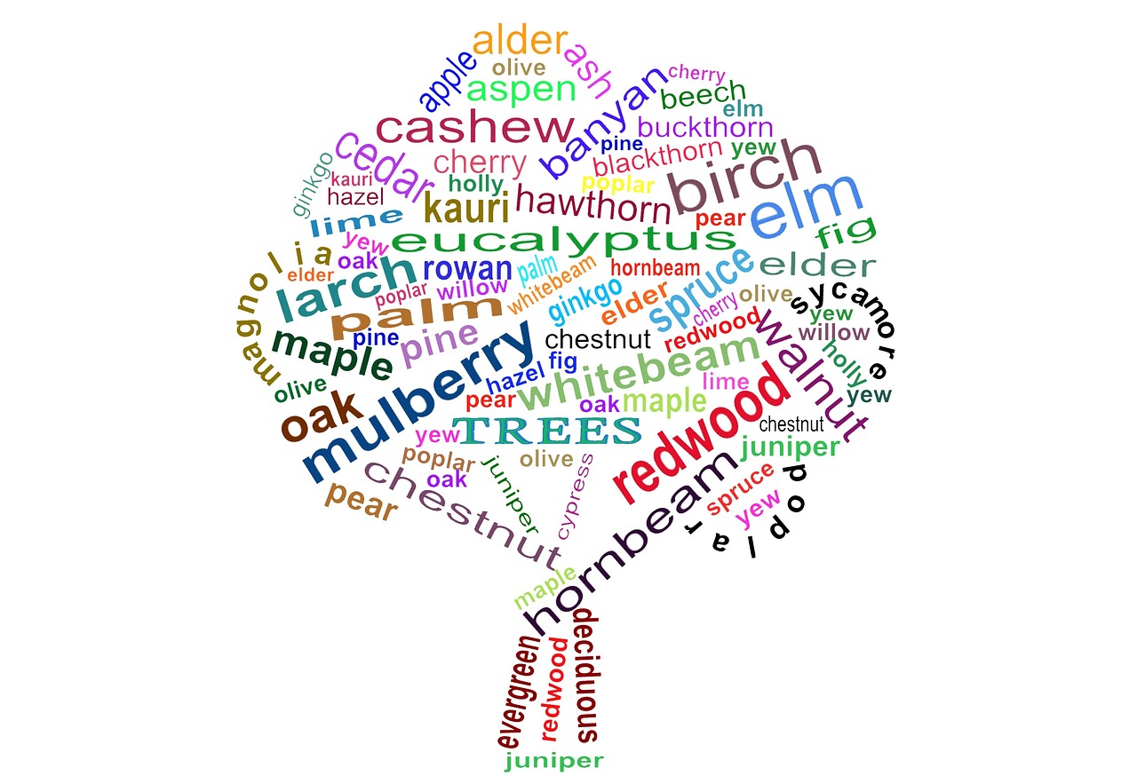 wordcloud trees knowledge free photo