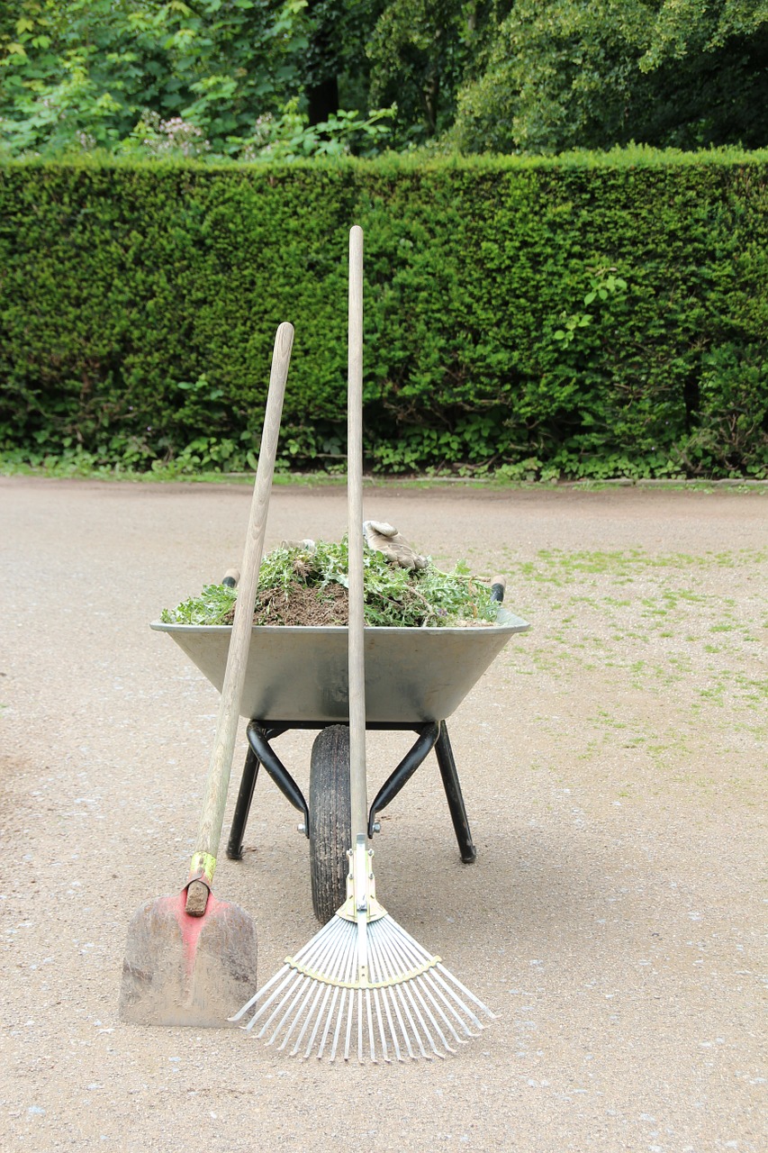 work wheelbarrow rake free photo