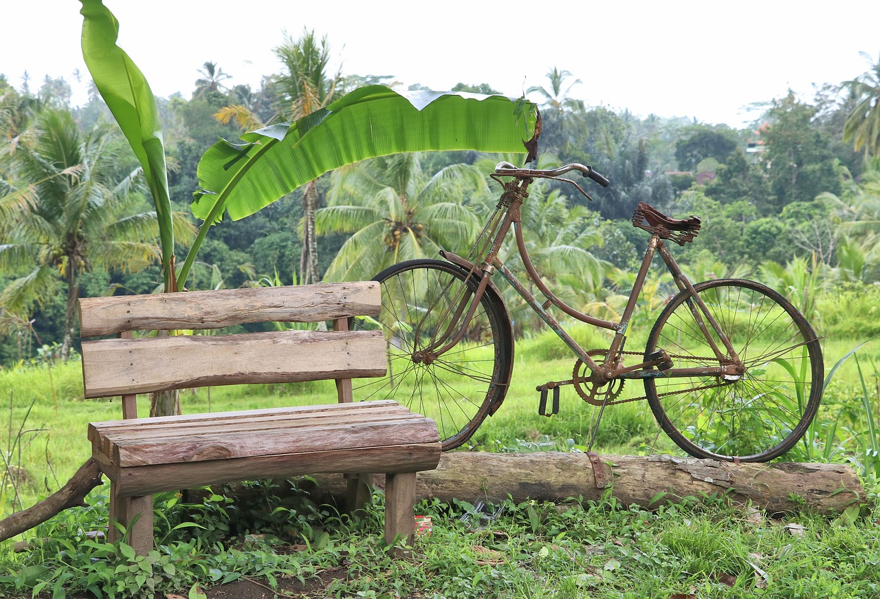 work of art  bicycle  bench free photo