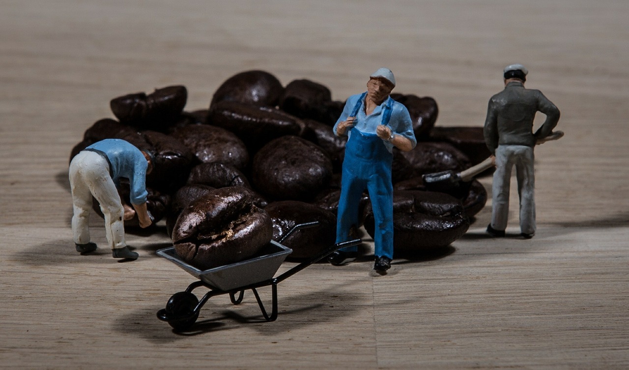 worker coffee coffee beans free photo