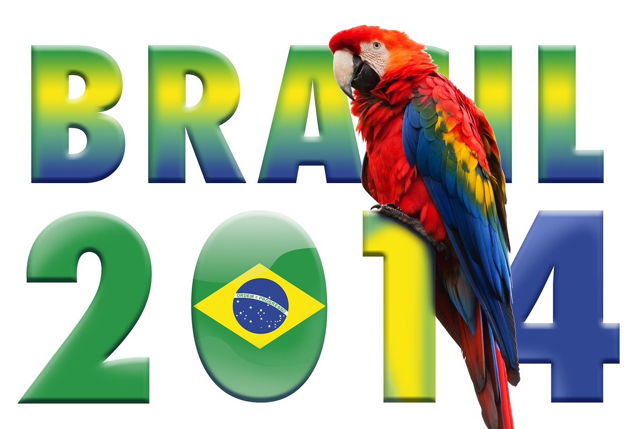 world cup parrot football free photo