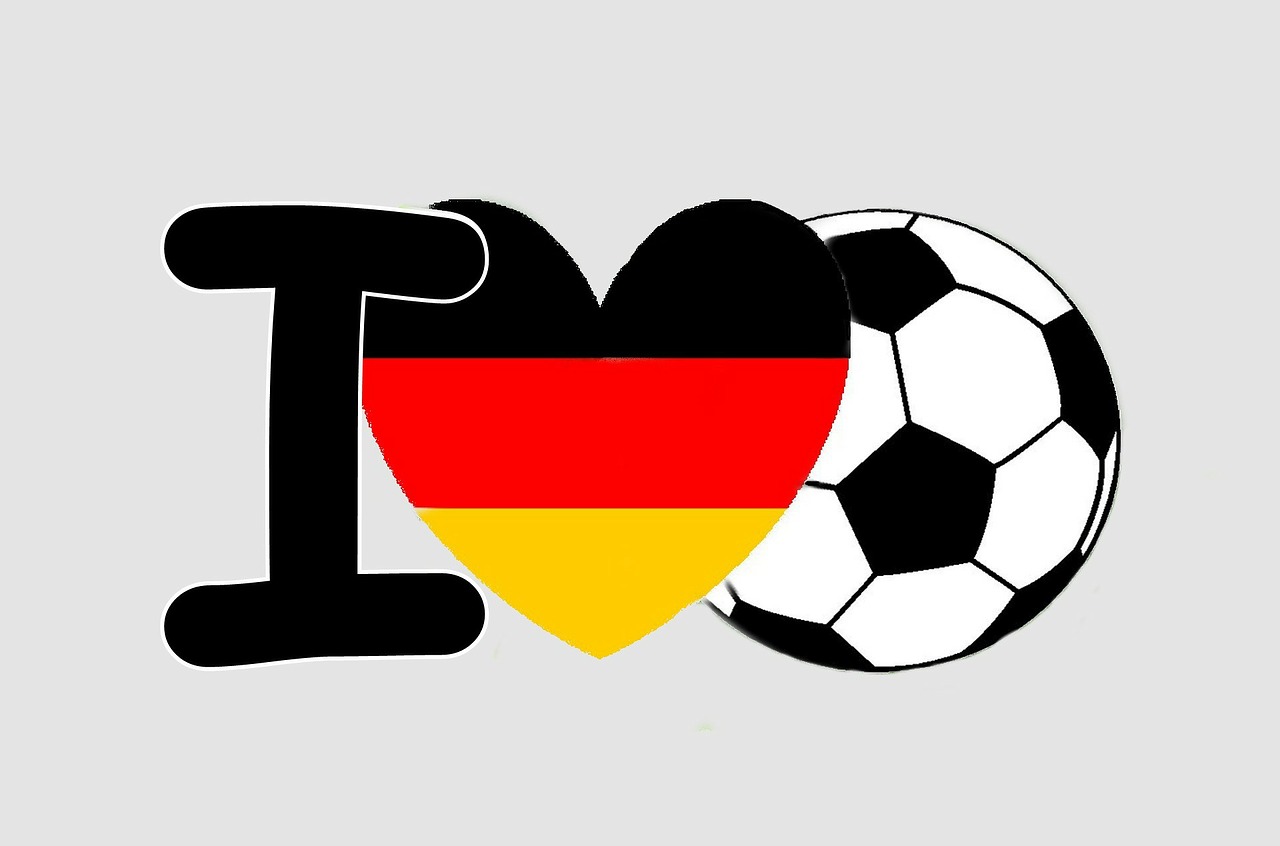 world cup football germany free photo