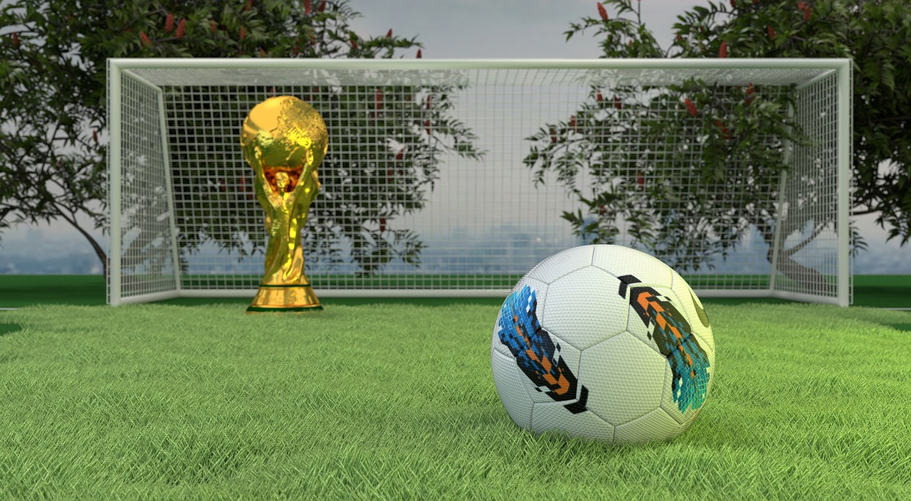 worldcup  soccer  football free photo