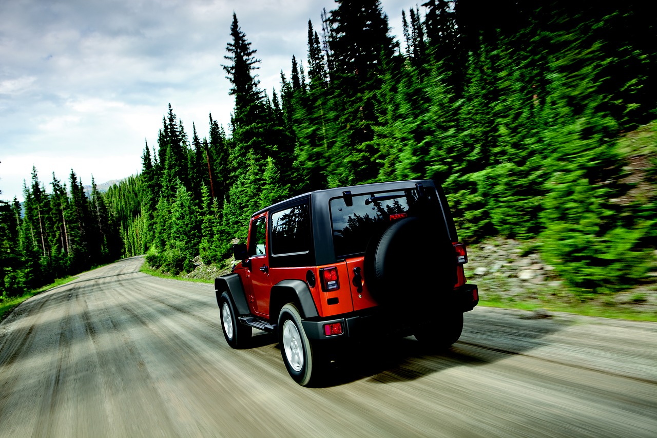 wrangler jeep trees free photo