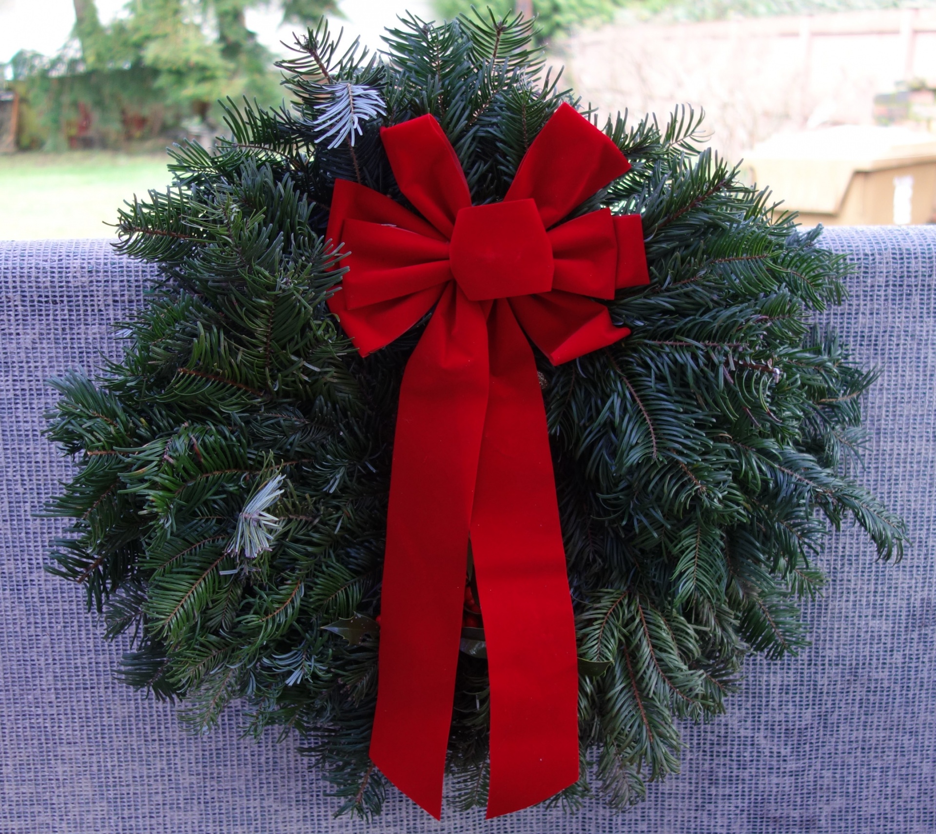 wreath christmas wreath free photo