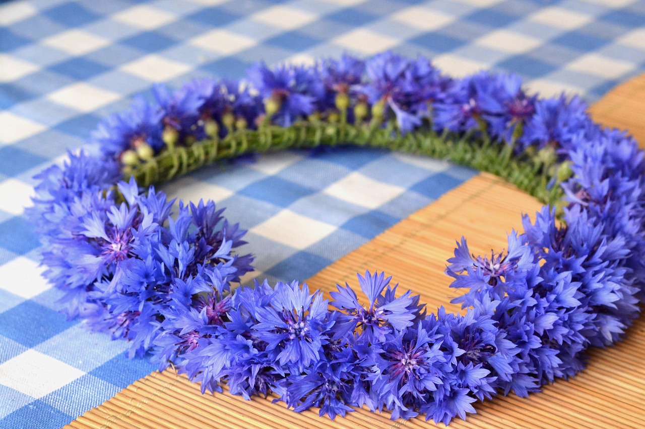 wreath cornflower cornflowers free photo