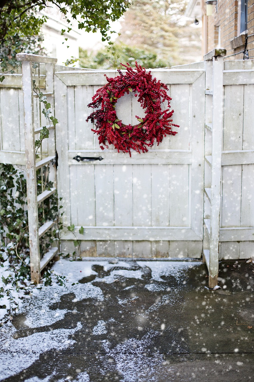 wreath  christmas  red berries free photo