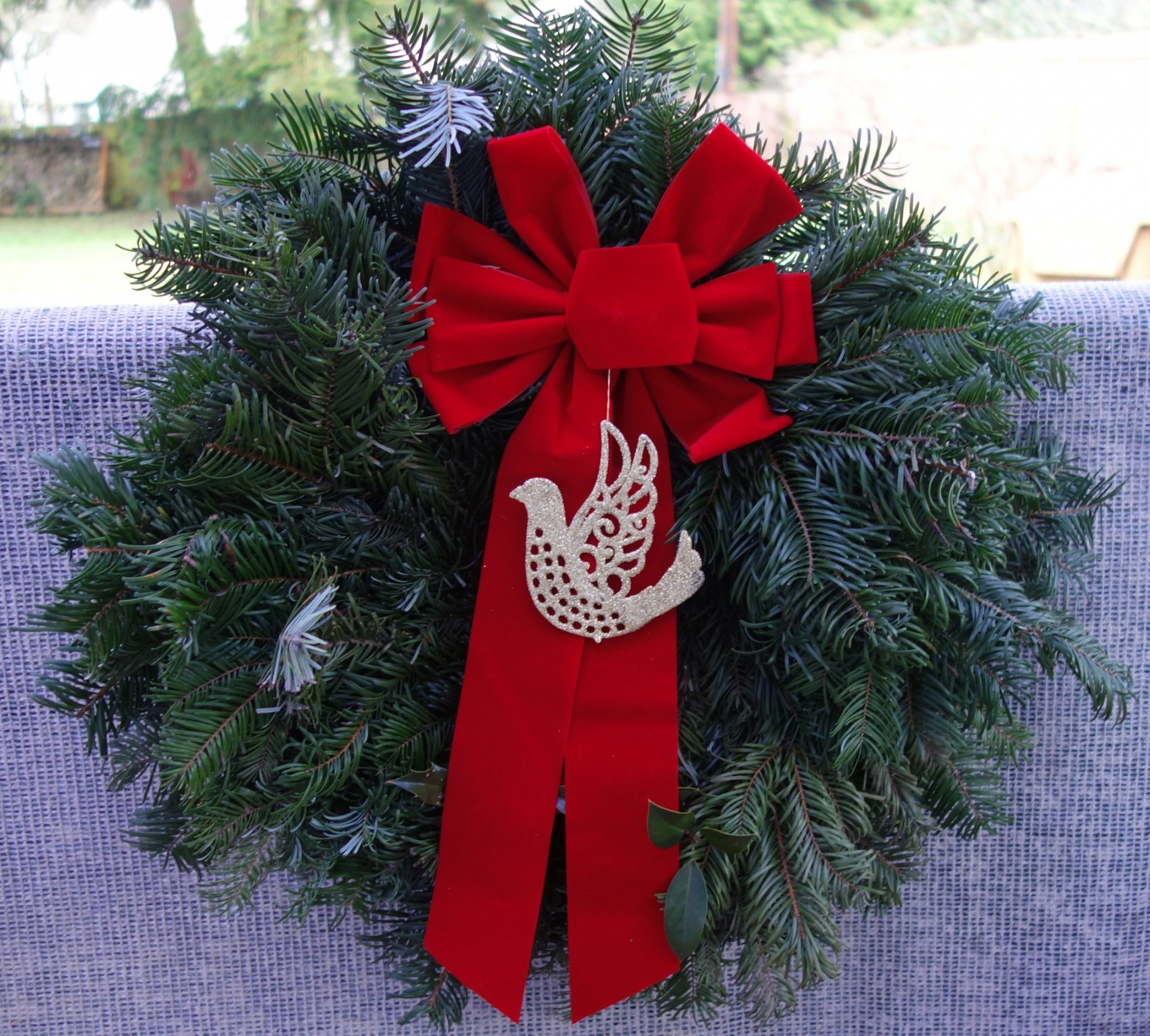 wreath christmas wreath with dove free photo